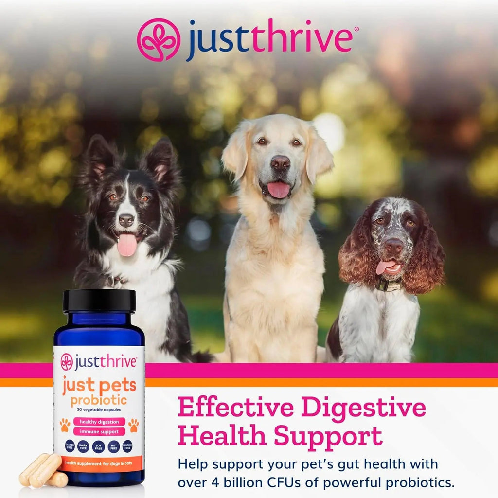 Just Thrive Just Pets Probiotic - Daily Digestive Probiotics for Dogs and Cats - 4 Billion CFUs Pet Probiotic, 30 Capsules - TrustMedUSA
