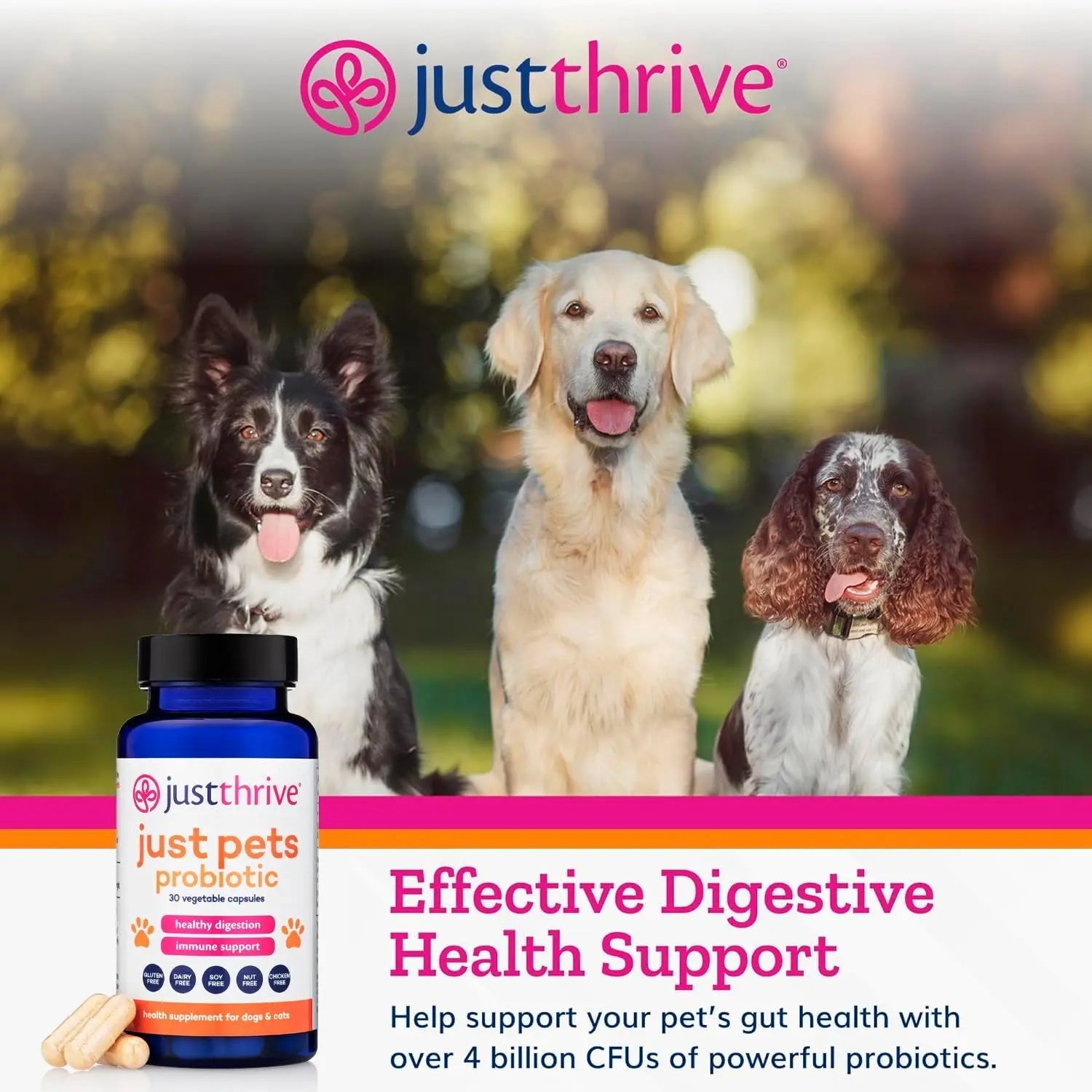 Just Thrive Just Pets Probiotic - Daily Digestive Probiotics for Dogs and Cats - 4 Billion CFUs Pet Probiotic, 30 Capsules - TrustMedUSA