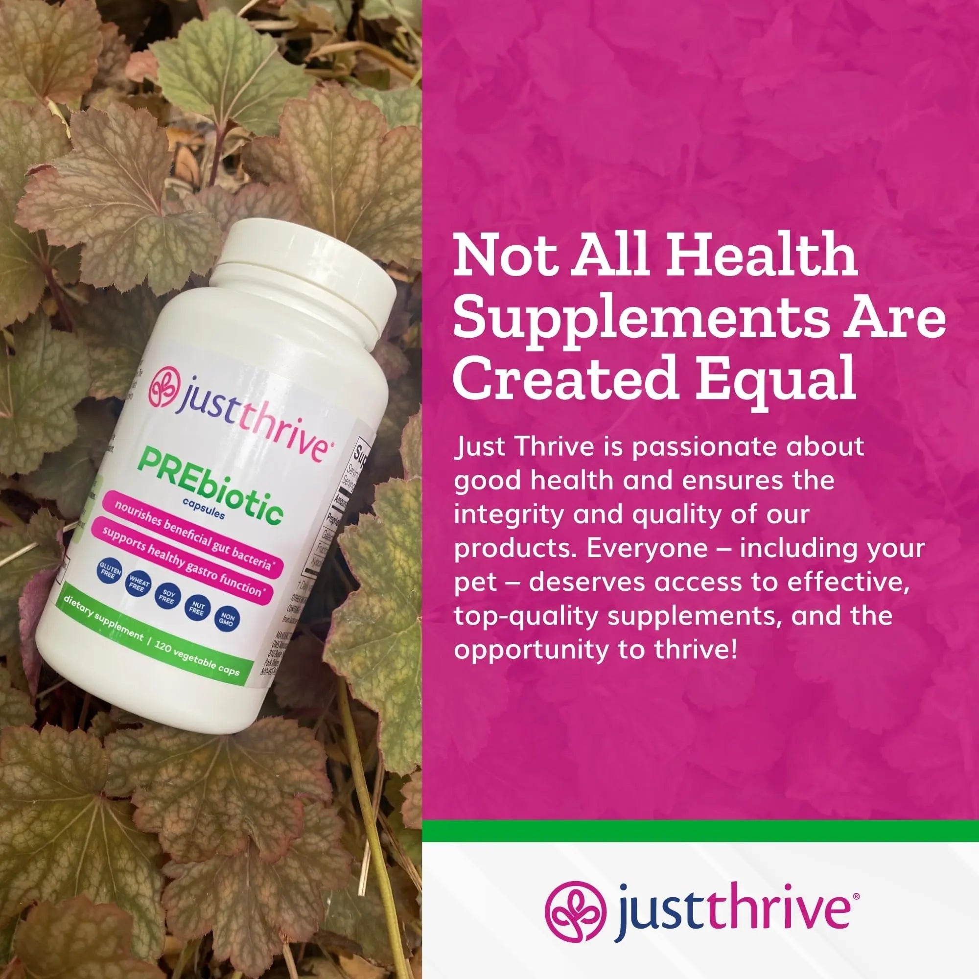 Just Thrive PREbiotic Capsules - Prebiotic Blend for Gut Health and Immune Support, 120 Caps - TrustMedUSA