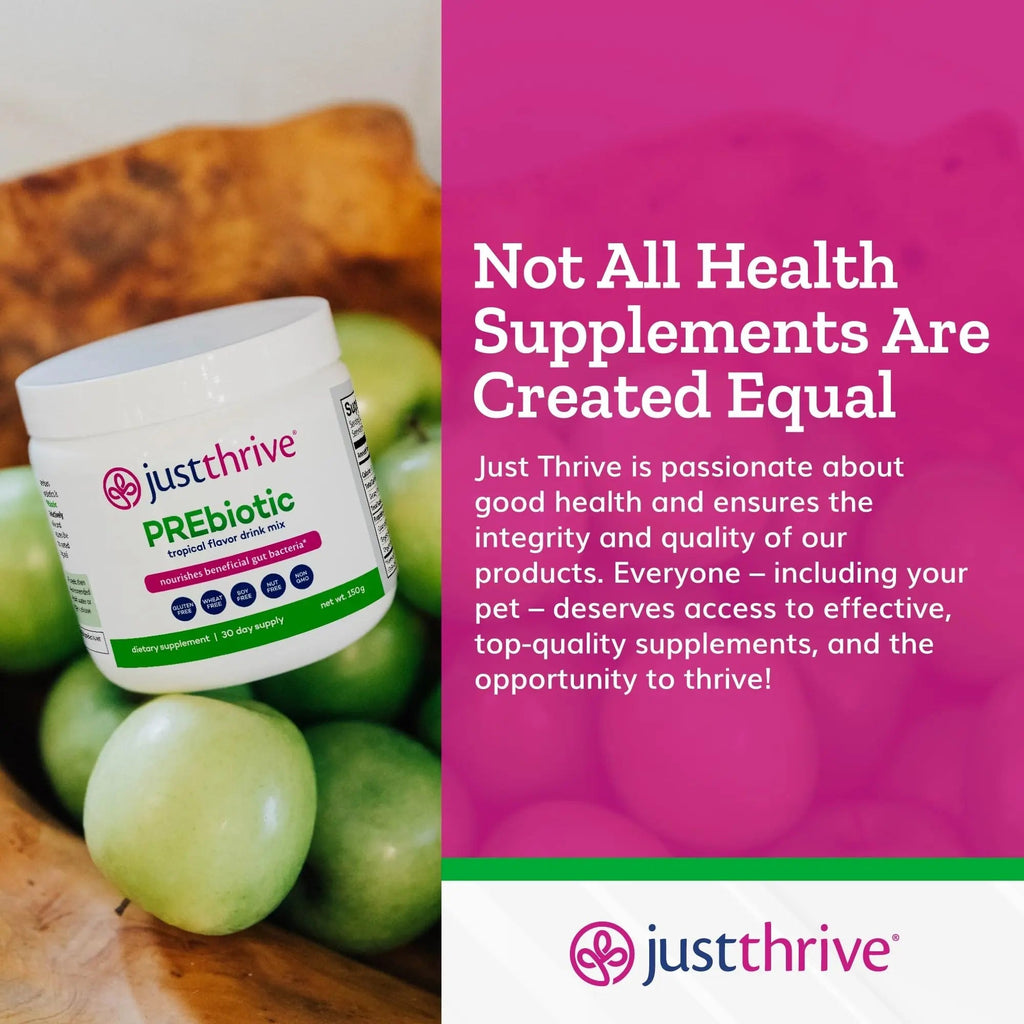 Just Thrive PREbiotic Powder - Digestive and Immune Support Supplement, 150 g - TrustMedUSA