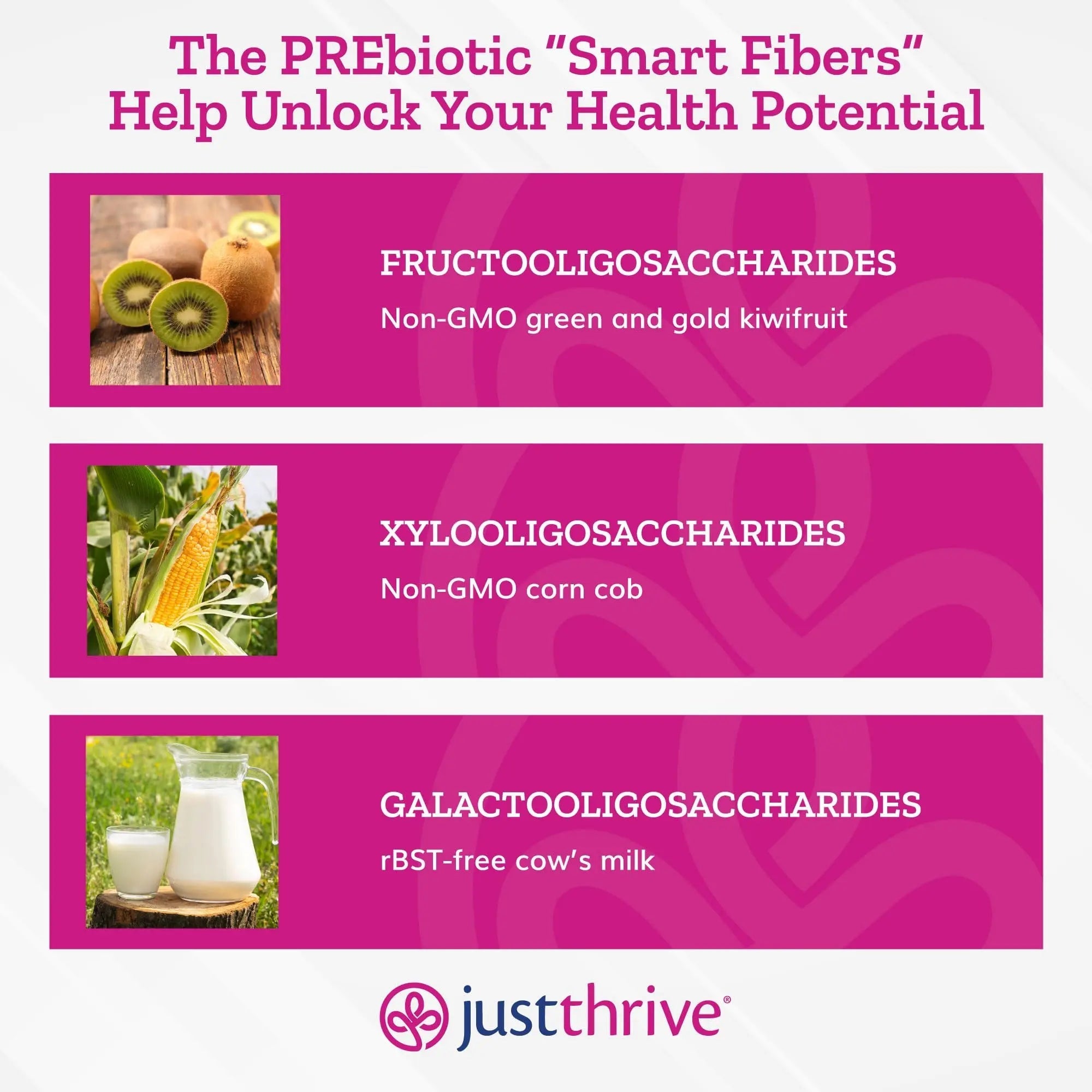 Just Thrive PREbiotic Powder - Digestive and Immune Support Supplement, 150 g - TrustMedUSA