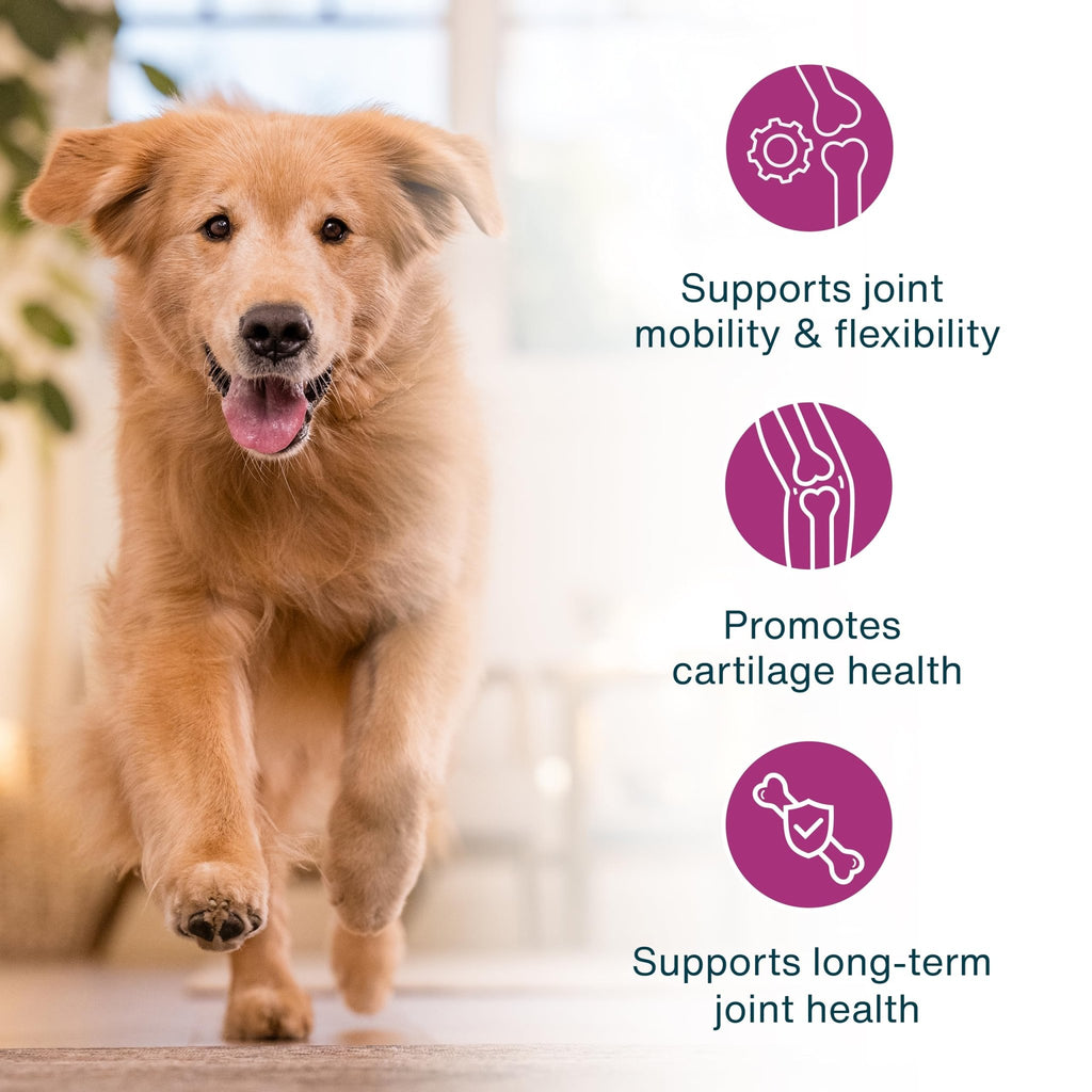 JustFoodForDogs JustFresh Boosts Hip & Joint Support Dog Food Toppers with Glucosamine to Support Hip Mobility & Joint Flexibility, Human-Grade Fresh Pet Meal Booster, 8 oz Pouches - 8 Pack - TrustMedUSA