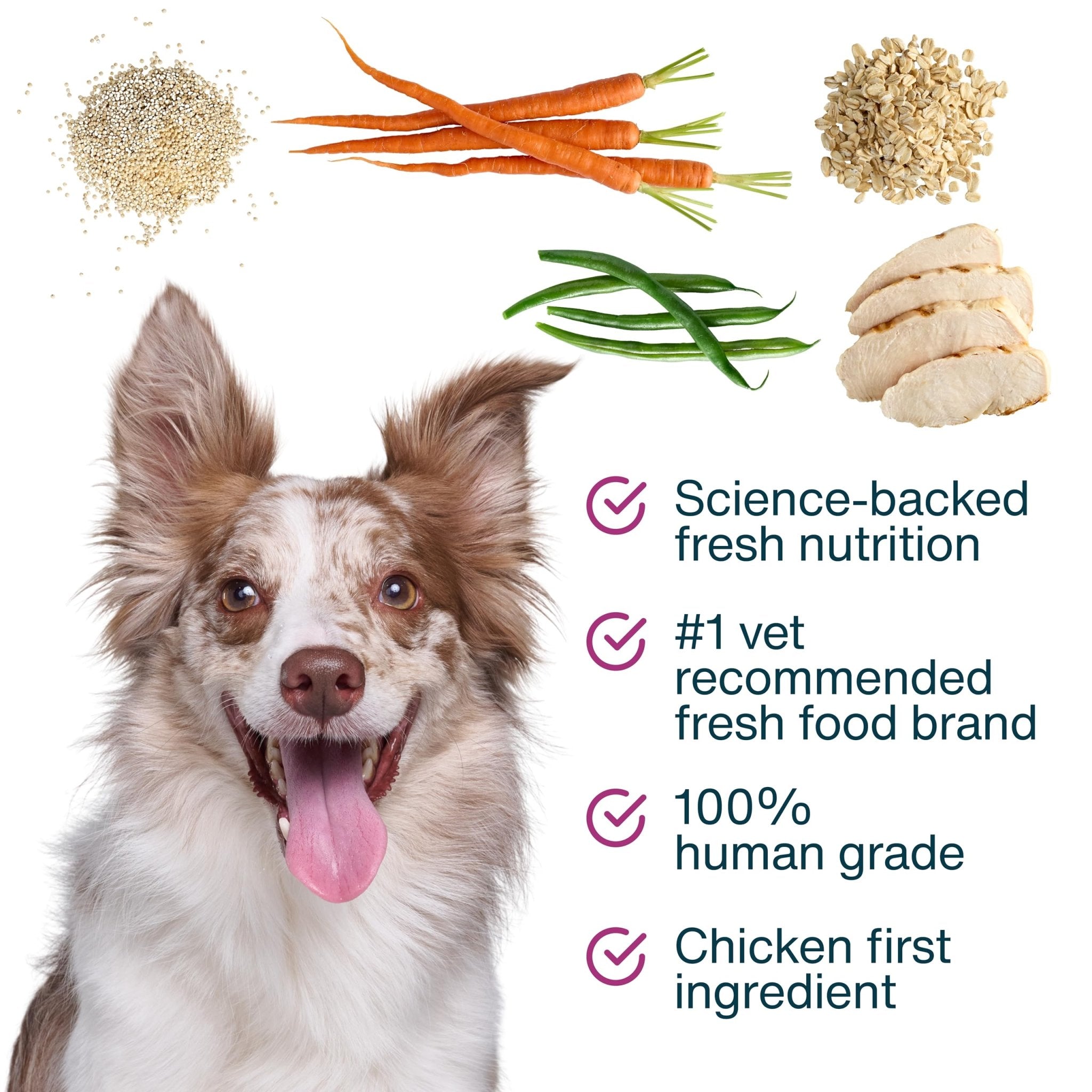 JustFoodForDogs JustFresh Boosts Hip & Joint Support Dog Food Toppers with Glucosamine to Support Hip Mobility & Joint Flexibility, Human-Grade Fresh Pet Meal Booster, 8 oz Pouches - 8 Pack - TrustMedUSA