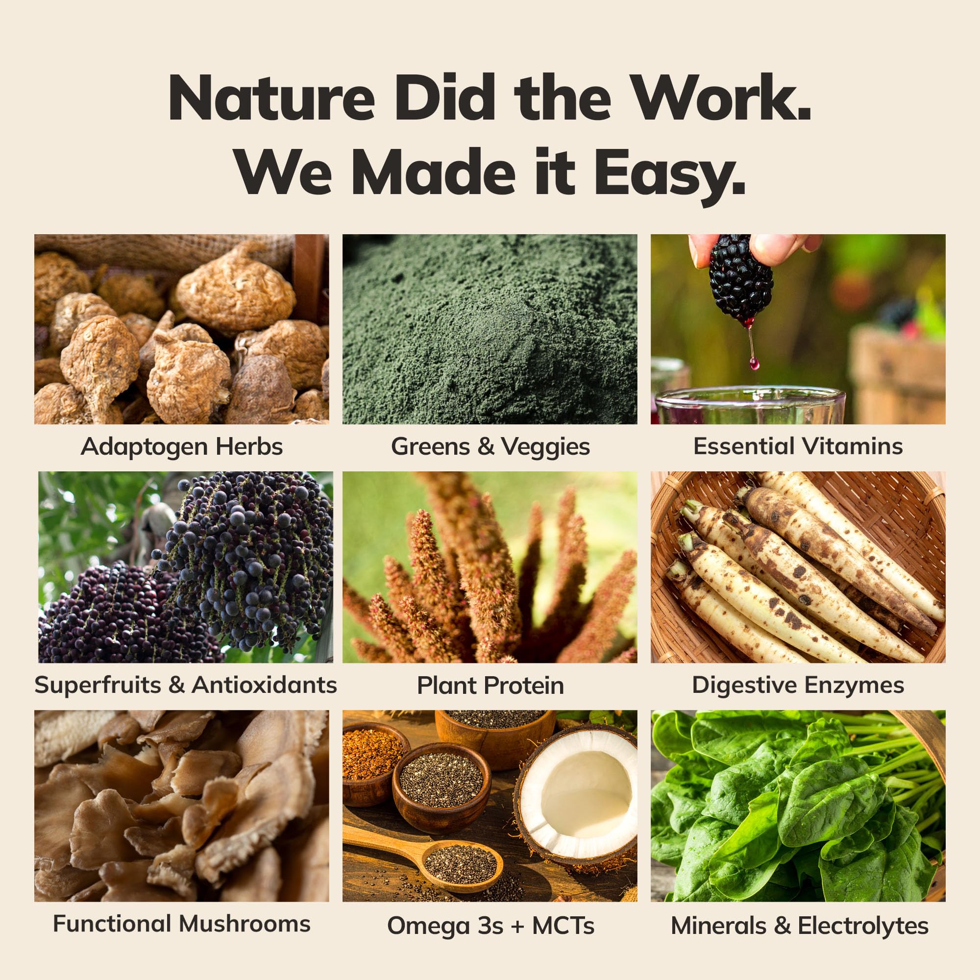Ka’Chava All-In-One Nutrition Shake Blend, 5 Flavor Sample Pack, 5 Servings, 85+ Superfoods & Nutrients, Meal Replacement, Greens Plant-Based Superfood Powder Protein Drink, Digestive Enzymes & Probiotics, Vegan Dairy Gluten Free - Maple Wellness Supplements