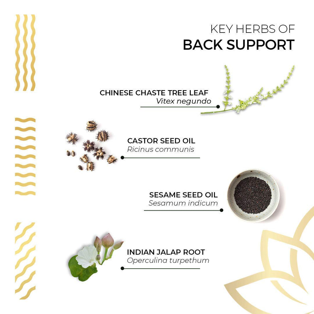 Kerala Ayurveda Back Support Herbal Capsules - Eases Occasional Discomfort of Lower Back & Supports Normal Movement of Spine, 90 Count - TrustMedUSA