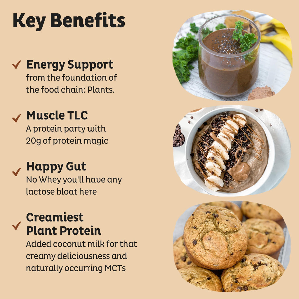 KOS Organic Plant Based Protein Powder, Chocolate Peanut Butter - Delicious Vegan Protein Powder - Keto Friendly, Gluten Free, Dairy Free & Soy Free - 15 Servings - Maple Wellness Supplements