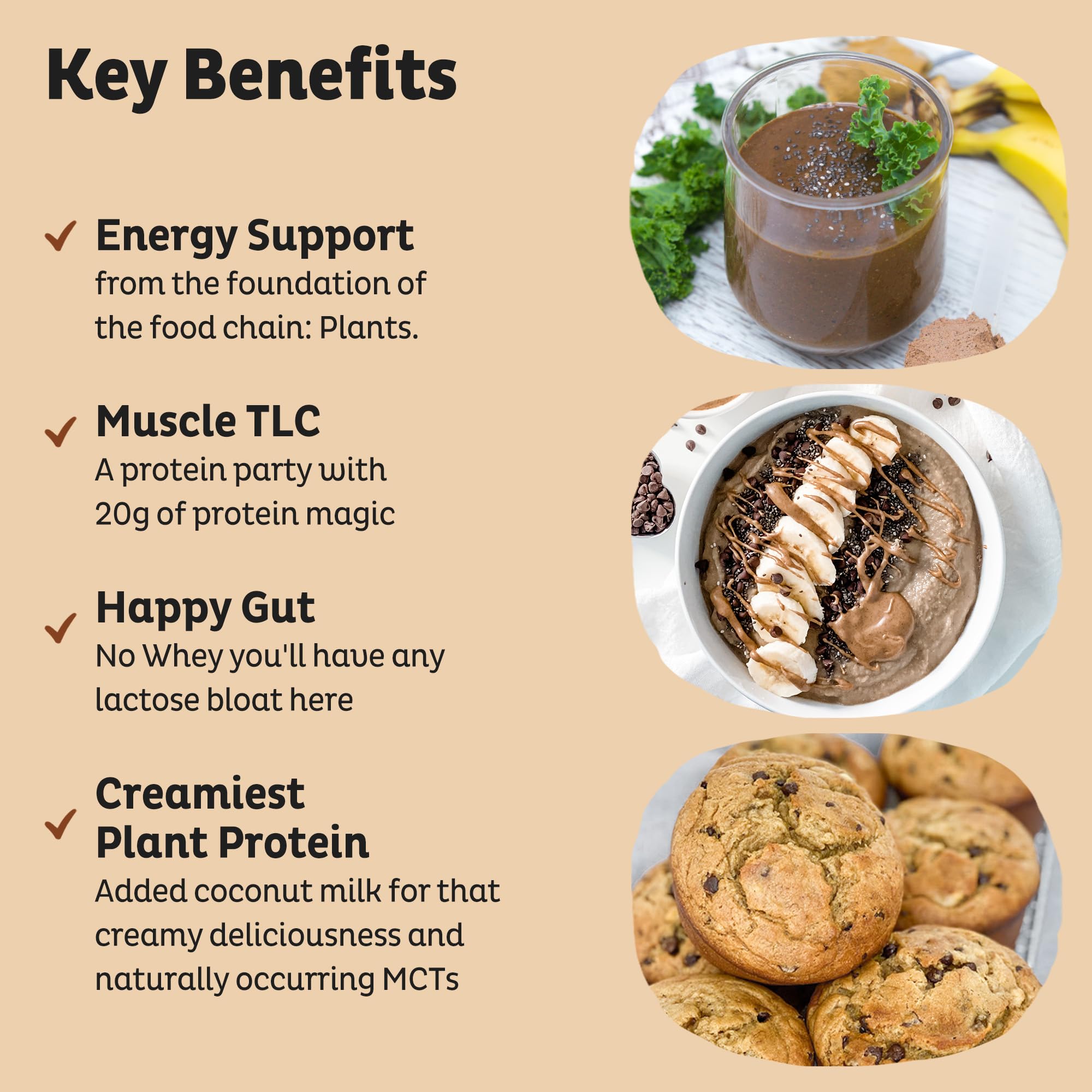 KOS Organic Plant Based Protein Powder, Chocolate Peanut Butter - Delicious Vegan Protein Powder - Keto Friendly, Gluten Free, Dairy Free & Soy Free - 15 Servings - Maple Wellness Supplements