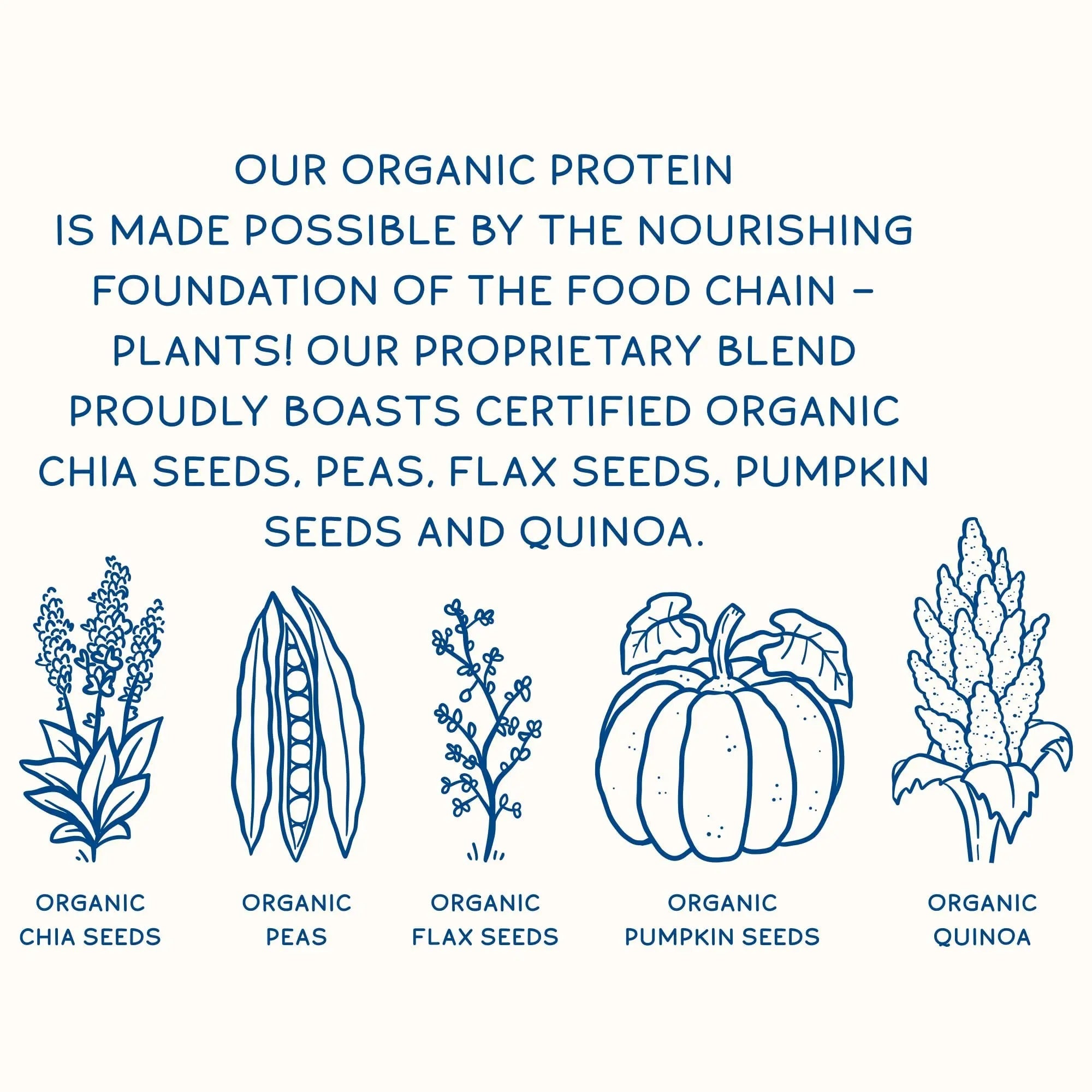 KOS Plant Based Protein Powder, Blueberry Muffin - Organic Pea Protein Superfood - TrustMedUSA