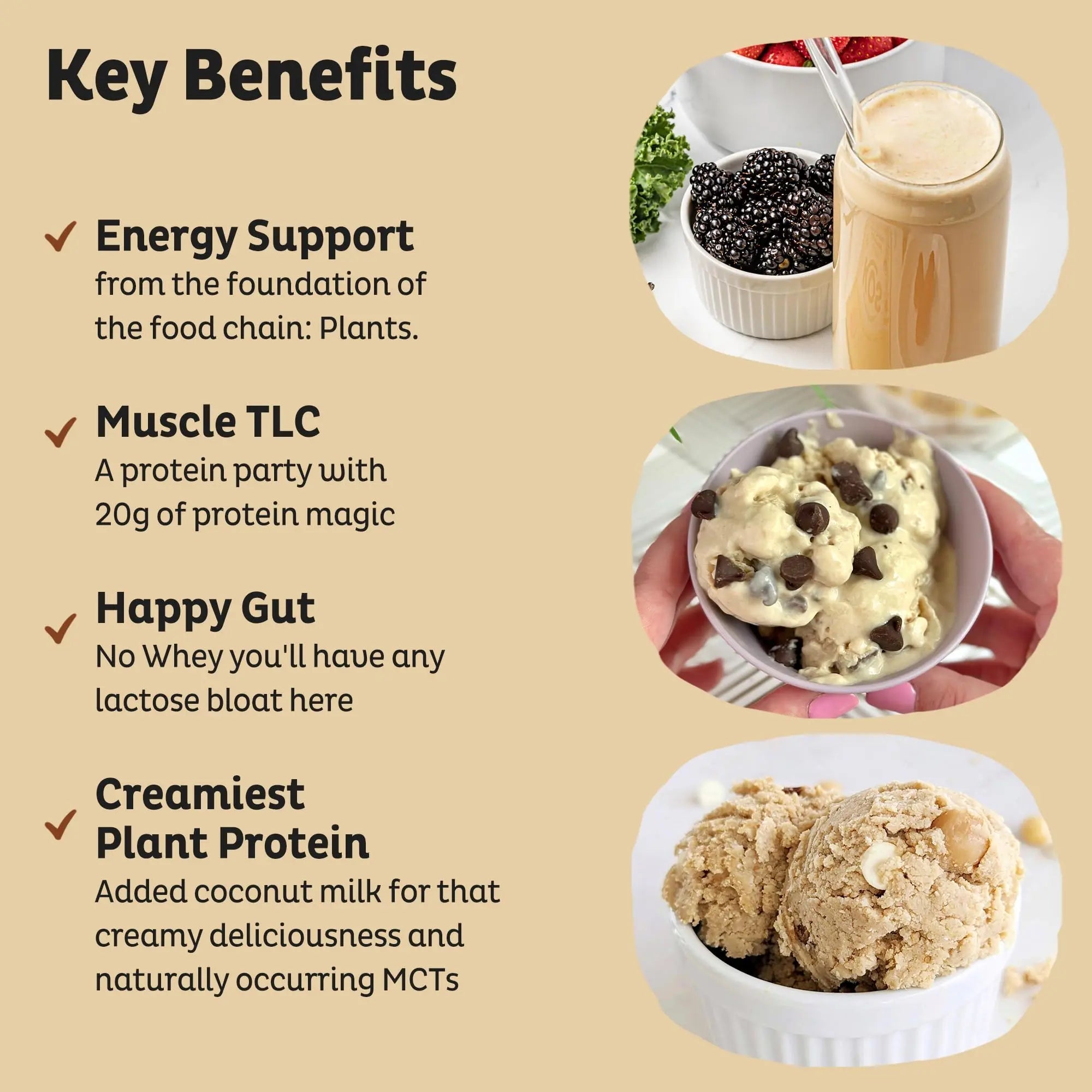 KOS Vegan Protein Powder Erythritol Free, Vanilla USDA Organic - Pea Protein Blend, Plant Based Superfood Rich in Vitamins & Minerals - Keto, Dairy Free - Meal Replacement for Women & Men, 28 Servings - TrustMedUSA
