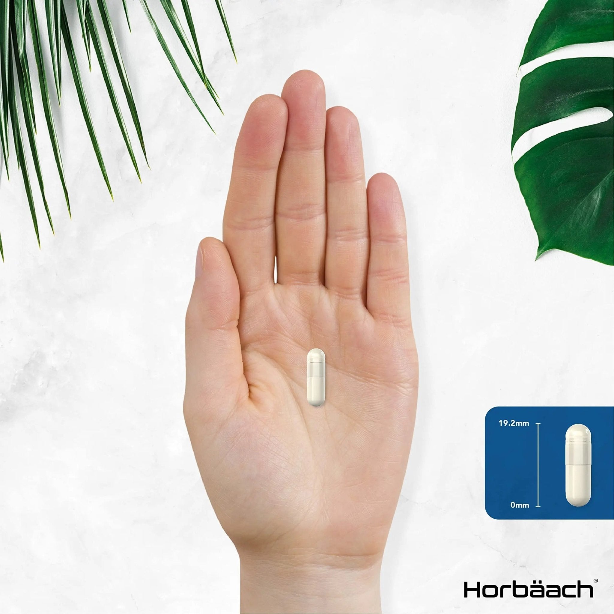 L-Methylfolate 1000ug | 200 Capsules | 5-MTHF Folate Supplement | Active Form - TrustMedUSA