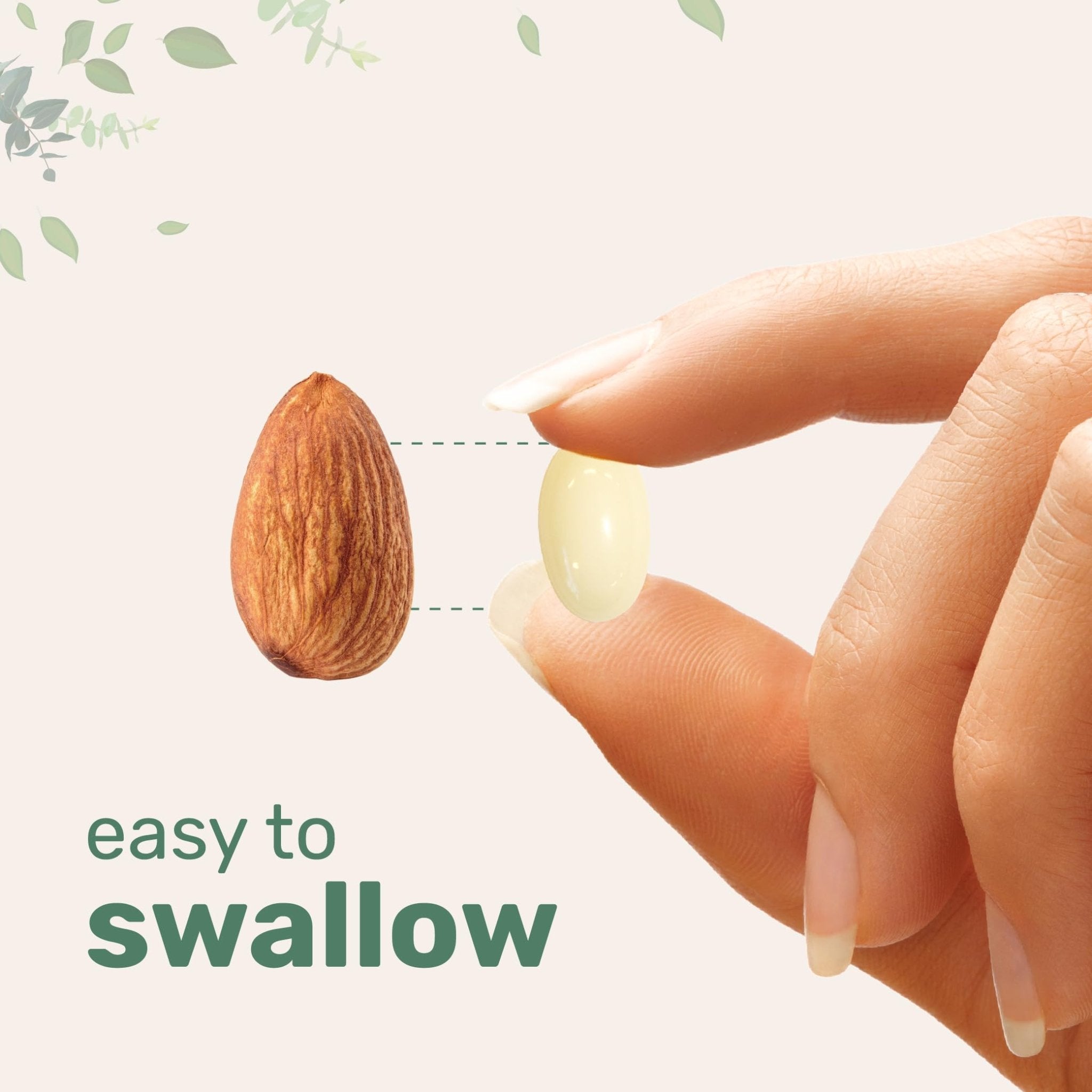 L-Theanine 200mg with Magnesium Glycinate, 400 Coconut MCT Oil Softgels | 2-in-1 Amino Acid & Mineral Complex | Gentle Care All Day & Night - TrustMedUSA
