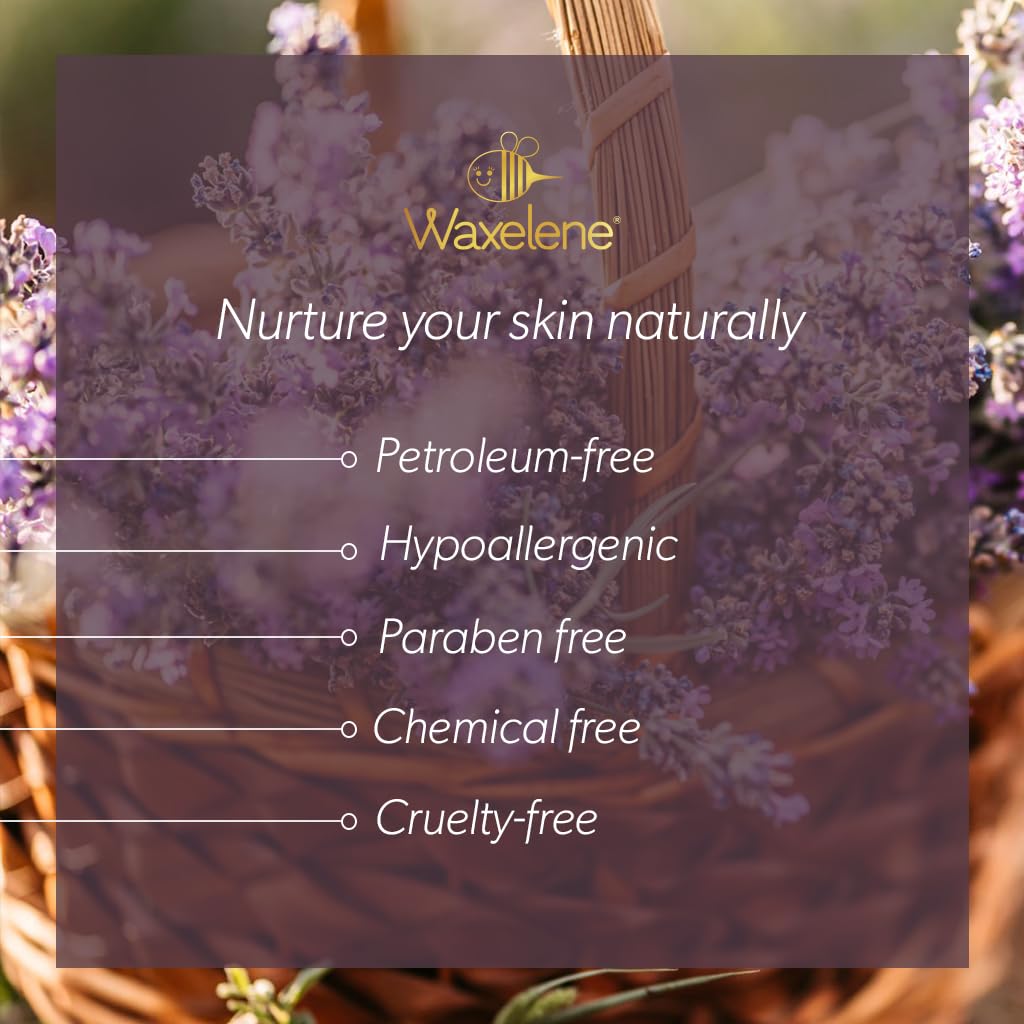 Lavender Aerated Lip Balm tin - Single - TrustMedUSA