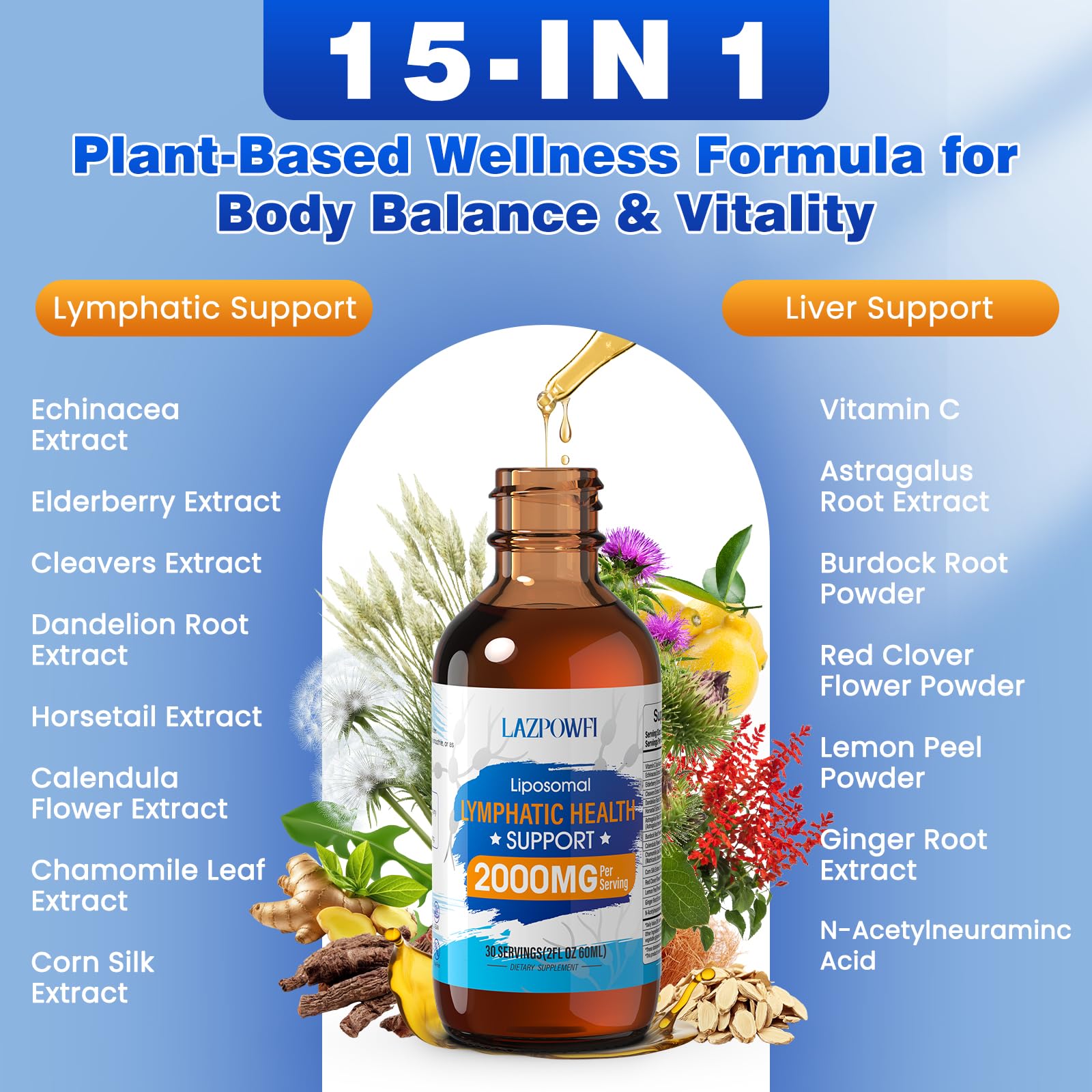 Lazpowfi Lymphatic Drainage Drops – Liposomal Lymphatic Drainage Supplements with Echinacea 500mg, Elderberry, Burdock Root & Dandelion – Liquid Lymphatic Drops, 2 fl oz - Maple Wellness Supplements