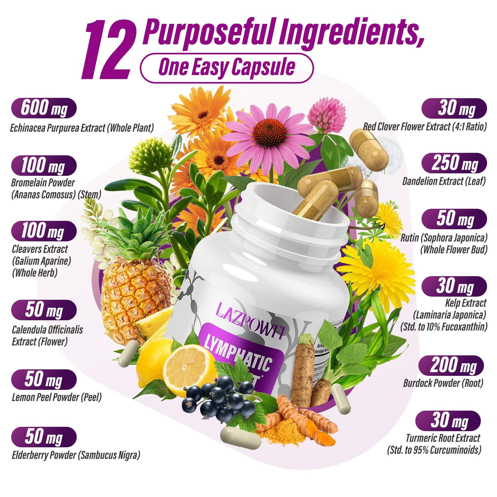 Lazpowfi Lymphatic Drainage Supplements, 1540mg Lymph System Support Supplement for Women & Men with Dandelion, Burdock, Echinacea,Rutin, Turmeric,Cleavers & More, 60 Capsules - Maple Wellness Supplements