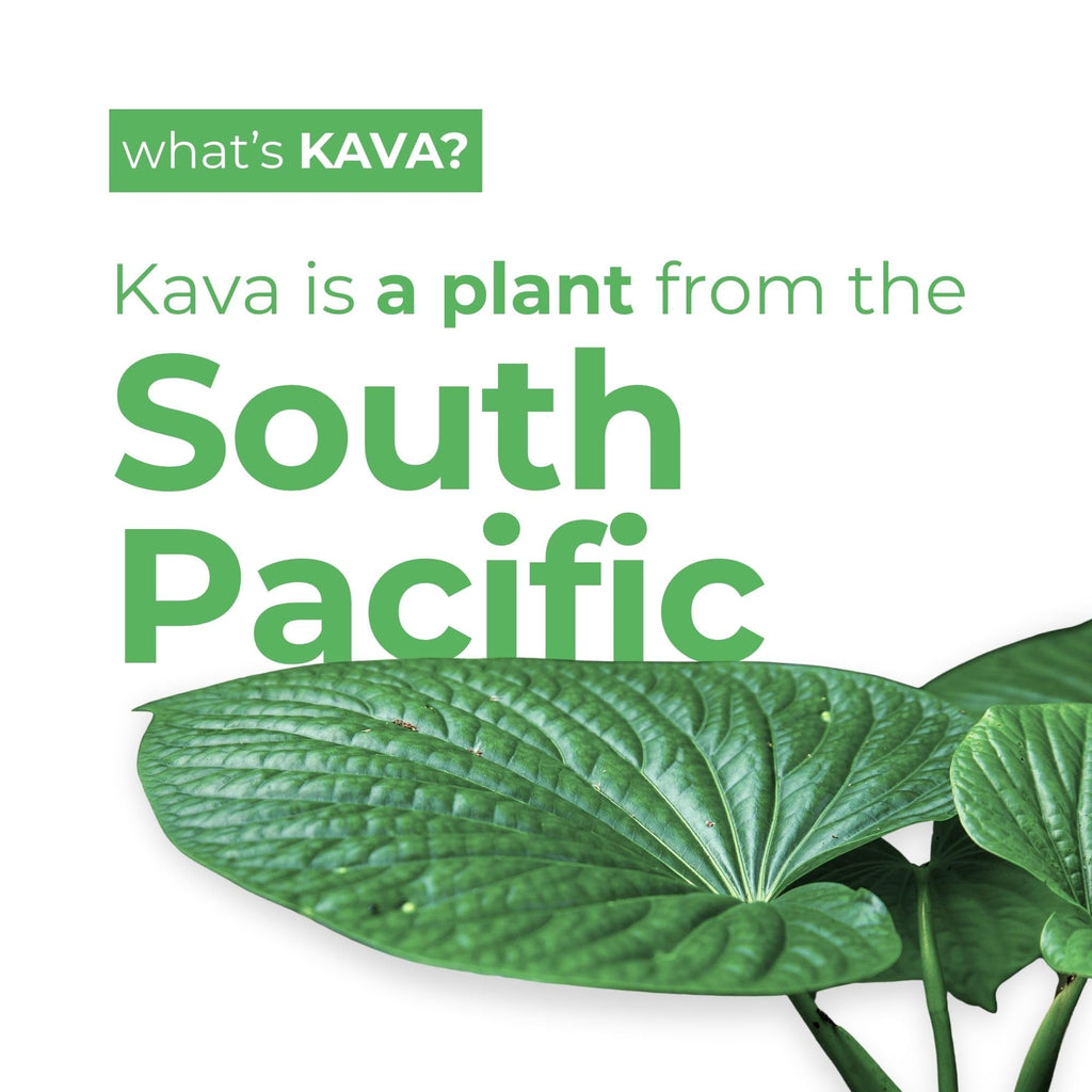 Leilo | Kava Powered Lime Margarita Mocktail Drink | Sugar-Free & Non-Alc Functional Relaxation Support | 12 fl oz Cans (Pack of 12) - Maple Wellness Supplements
