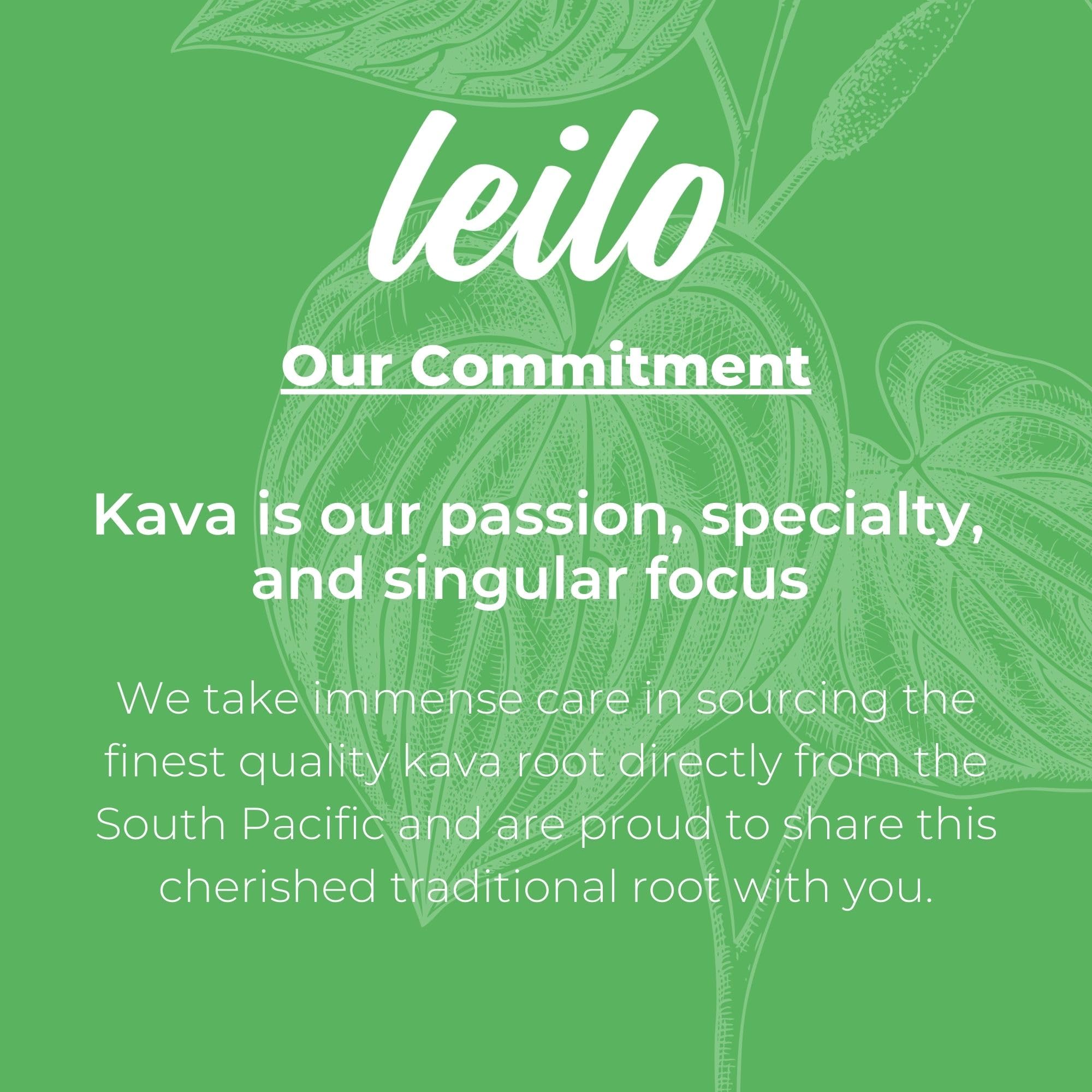 Leilo | Kava Powered Lime Margarita Mocktail Drink | Sugar-Free & Non-Alc Functional Relaxation Support | 12 fl oz Cans (Pack of 12) - Maple Wellness Supplements