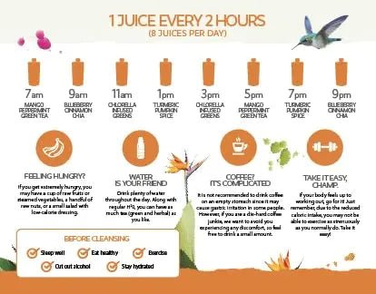 LEMONKIND 3-Day PROTEIN Juice Cleanse – High Protein Detox to Boost - TrustMedUSA