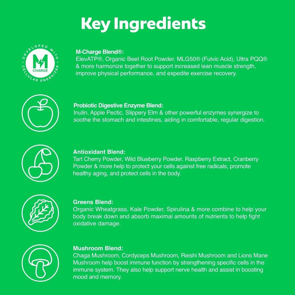 L'Evate You Vitality Daily Greens Powder (28 Servings) 30 Superfoods, 9 Greens - for a Cellular Energy Boost, Powered by M-Charge Complex for All Day Energy (Original) - TrustMedUSA