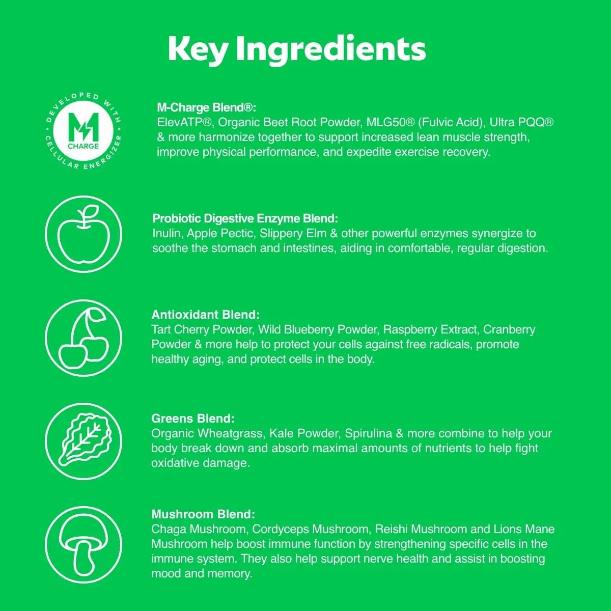 L'Evate You Vitality Daily Greens Powder (28 Servings) 30 Superfoods, 9 Greens - for a Cellular Energy Boost, Powered by M-Charge Complex for All Day Energy (Original) - TrustMedUSA