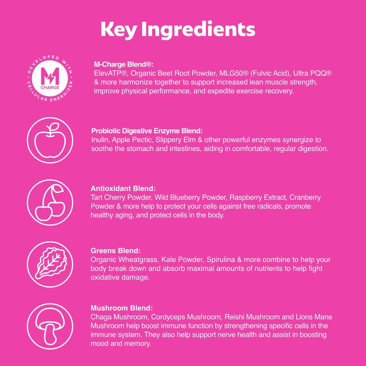 L'Evate You Vitality Daily Greens Powder (28 Servings) 30 Superfoods, 9 Greens - for a Cellular Energy Boost, Powered by M-Charge Complex for All Day Energy (Tart Cherry) - TrustMedUSA