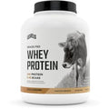 Levels Grass Fed 100% Whey Protein, No Hormones, Vanilla Cinnamon, 5LB - TrustMedUSA