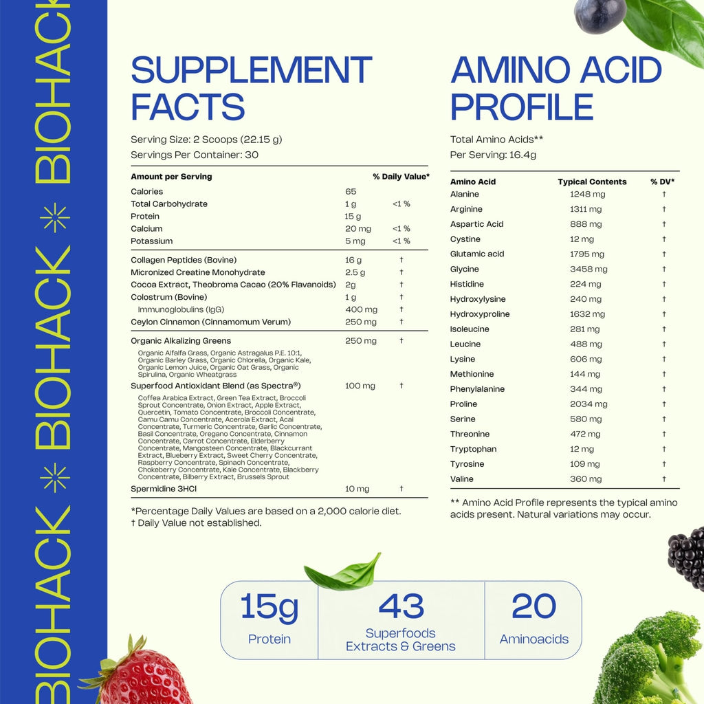 LevelUp Biohack Ageless: Colostrum Collagen Superfoods Antioxidants Spermidine Amino Acids Creatine for Women and Men, Total Body Rejuvenation (Dark Chocolate Cinnamon) - TrustMedUSA