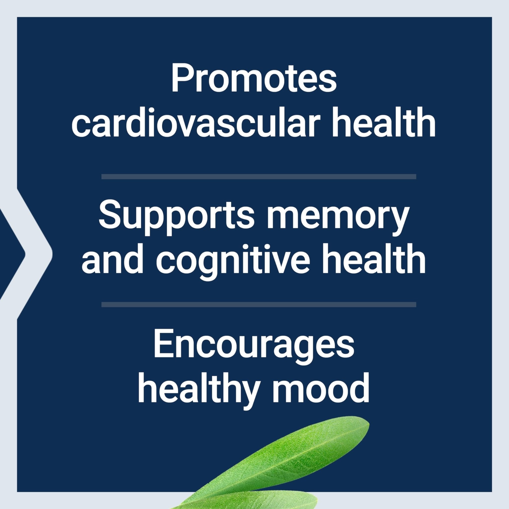 Life Extension Healthy Aging Powder, Healthy Aging Supplement, Heart Health, Brain Health, Exercise Performance, Taurine, Lithium, spermidine, Powder Blend, Non-GMO, Vegetarian, 30 Servings - TrustMedUSA