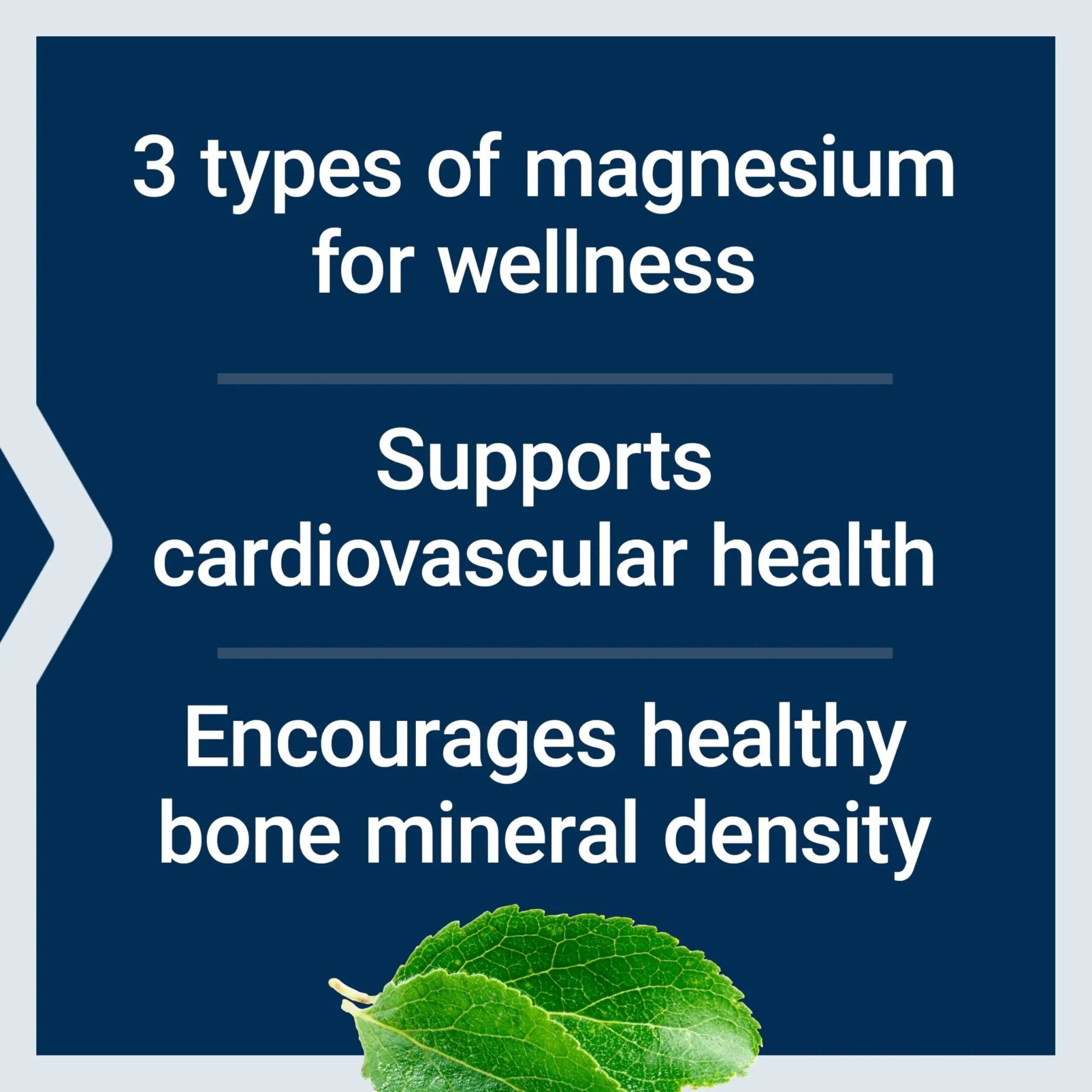 Life Extension Magnesium Caps, 500 mg, Magnesium Oxide, Citrate, and Succinate, Heart Health, Healthy Bones, Metabolism Support, 100 Vegetarian Capsules - TrustMedUSA