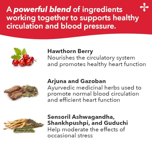 LifeSeasons B/P Stabili-T - Blood Pressure Support - Vitamin Supplement for Healthy Heart & Circulation - Ashwagandha, Arjuna & Hawthorn Berry - 240 Capsules - TrustMedUSA
