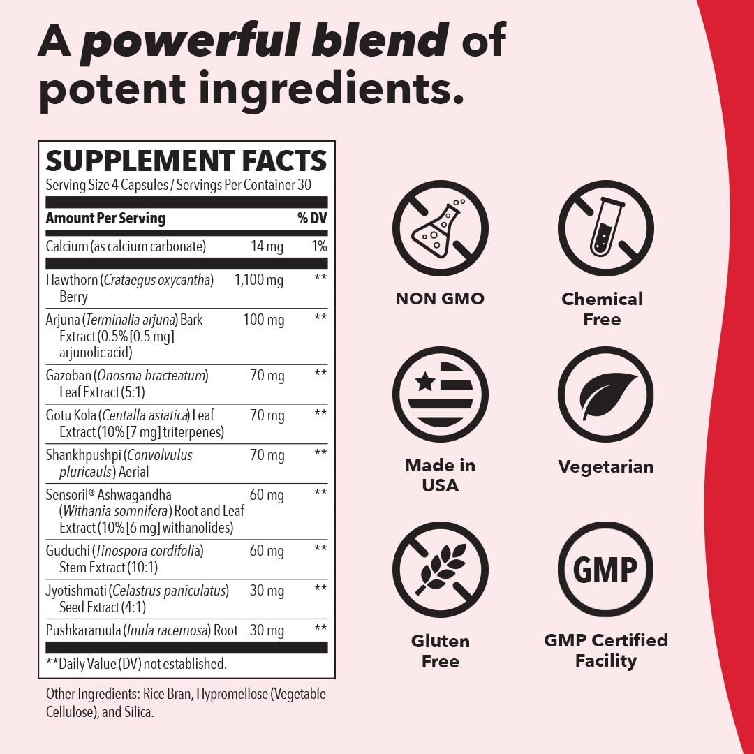 LifeSeasons B/P Stabili-T - Blood Pressure Support - Vitamin Supplement for Healthy Heart & Circulation - Ashwagandha, Arjuna & Hawthorn Berry - 240 Capsules - TrustMedUSA
