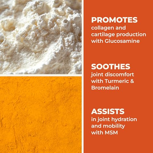 LifeSeasons Mobili-T - Joint Support Supplement - Reduces Aches & Discomforts - Increase Range of Motion - Rebuild Tissue & Cartilage - MSM Chondroitin Collagen Glucosamine & Turmeric - 120 Capsules - TrustMedUSA