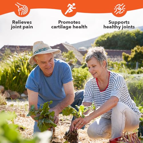 LifeSeasons Mobili-T - Joint Support Supplement - Reduces Aches & Discomforts - Increase Range of Motion - Rebuild Tissue & Cartilage - MSM Chondroitin Collagen Glucosamine & Turmeric - 208 Capsules - TrustMedUSA