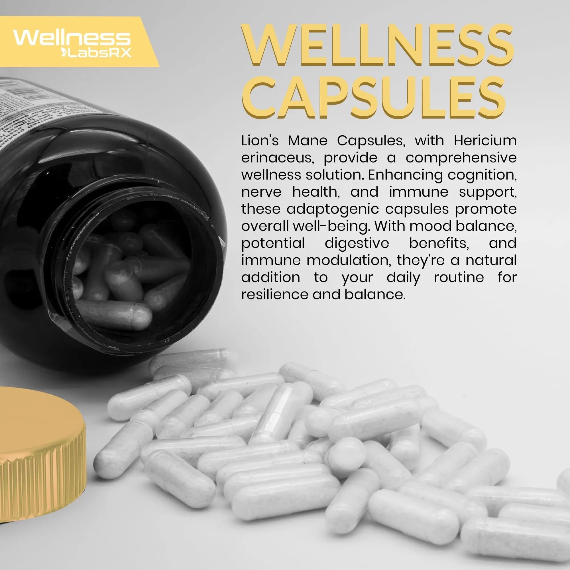 Lions Mane Supplement Capsules - 120 Count - Mushroom Supplement, Brain Supplements - TrustMedUSA