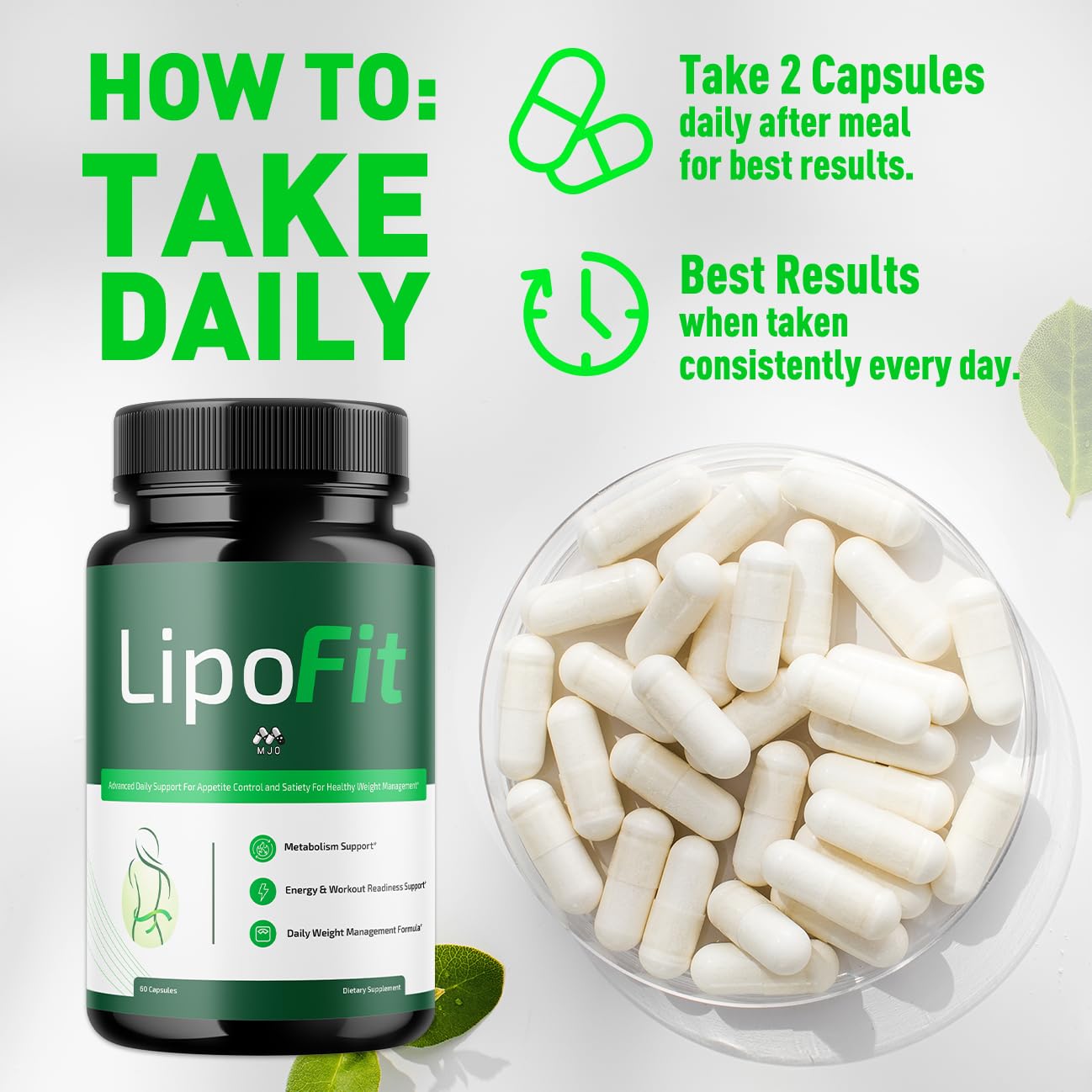 Lipo Fit Capsules, Official Lipo Fit Pills with All Natural Ingredients, Advanced Overall Health and Wellness Vitamin Supplement Formula for Maximum Strength Multivitamin Support (60 Capsules) - TrustMedUSA