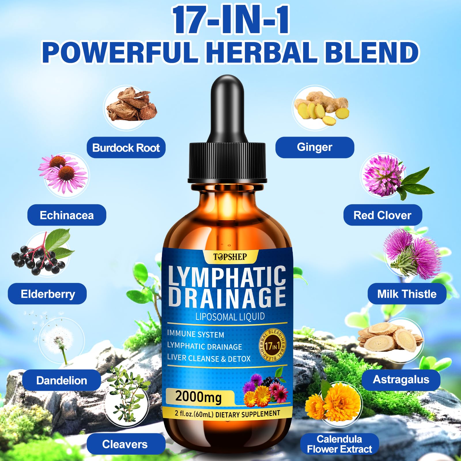 Liposomal Lymphatic Drainage Drops 2000mg - 17-in-1 Lymphatic Support & Liver Cleanse Detox with Milk Thistle, Dandelion, Elderberry, Echinacea & Full Vitamin Complex - Lymph System Support, 2 fl oz - Maple Wellness Supplements