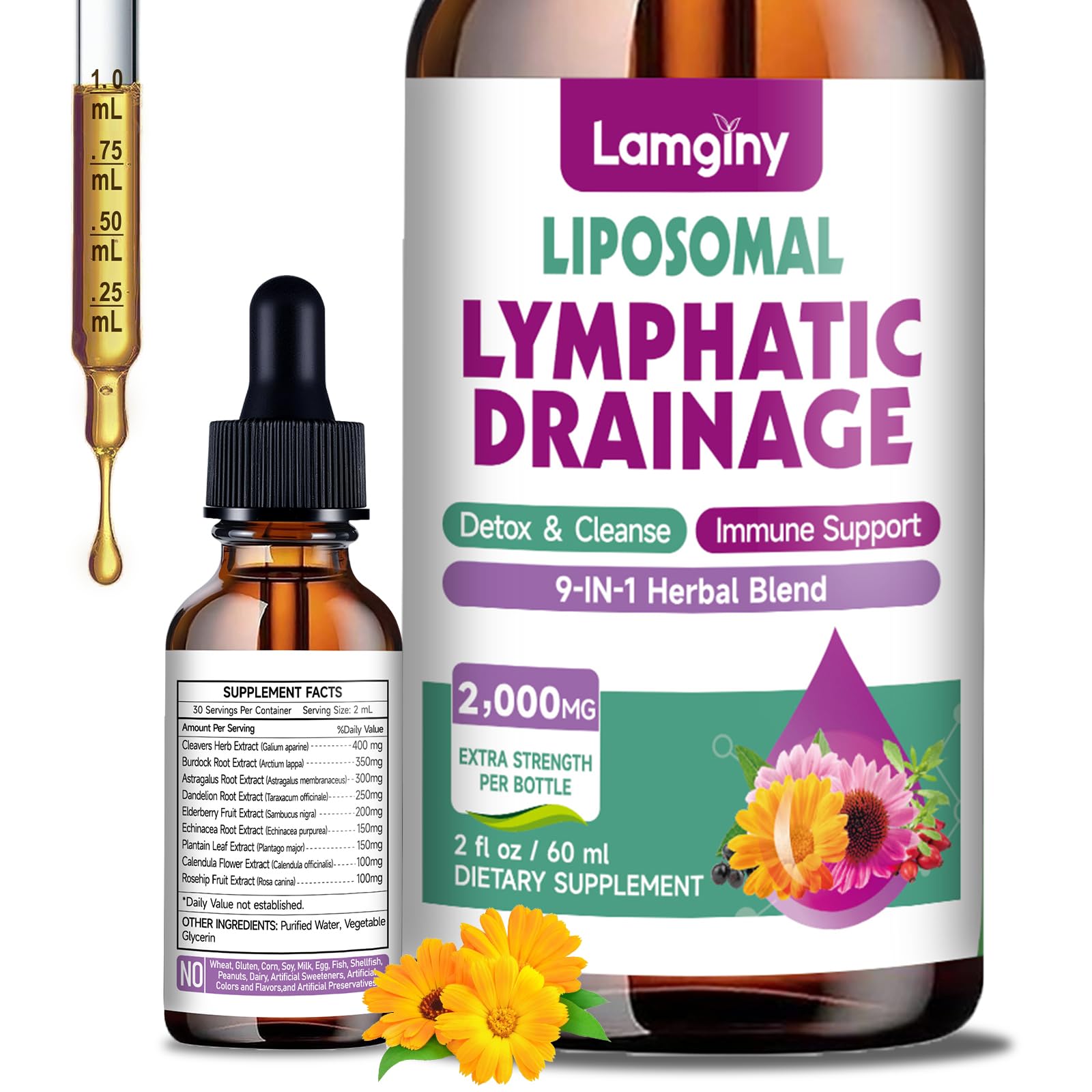 Liposomal Lymphatic Drainage Drops, 9-In-1 Lymphatic Drainage Supplements for Detox & Cleanse, with Echinacea, Dandelion, Elderberry, Burdock Root & Cleavers, Immune & Lymph System Support, 2 FL OZ - Maple Wellness Supplements