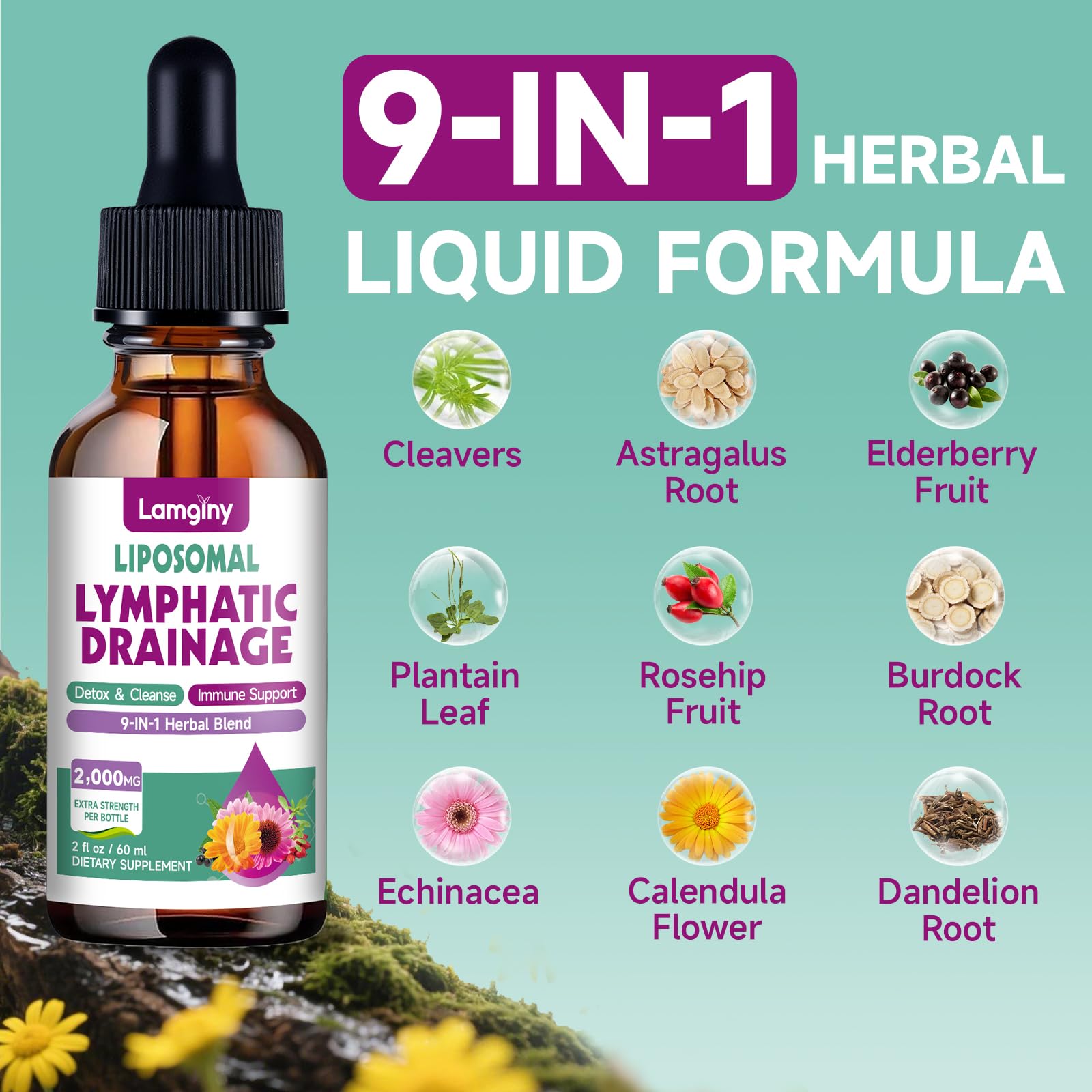 Liposomal Lymphatic Drainage Drops, 9-In-1 Lymphatic Drainage Supplements for Detox & Cleanse, with Echinacea, Dandelion, Elderberry, Burdock Root & Cleavers, Immune & Lymph System Support, 2 FL OZ - Maple Wellness Supplements