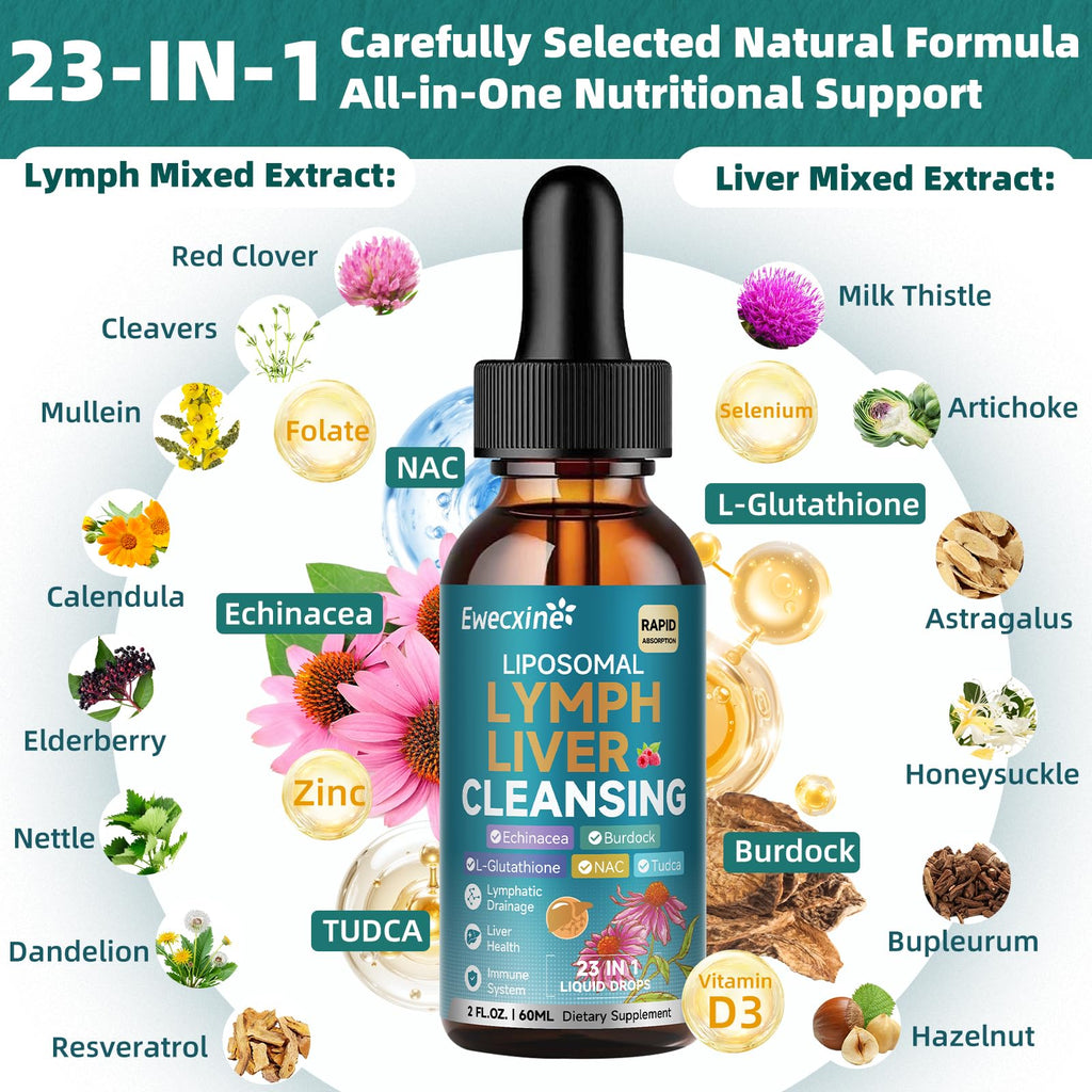 Liposomal Lymphatic Drainage & Liver Cleanse Drops, 23-in-1 with Echinacea, NAC, TUDCA, L-Glutathione, Burdock for Lymph, Liver Detox & Repair, Immune Support, Raspberry Flavor, 2 fl oz Supplement - Maple Wellness Supplements