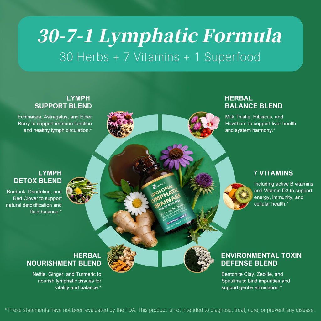 Liposomal Lymphatic Drainage Supplements with 30-in-1 Herbal Blend - Echinacea | Oregano | Milk Thistle - Sugar Free Lymph System Drops - Immune Support, Cleanse & Detox, Raspberry Flavor, 2 fl oz - Maple Wellness Supplements