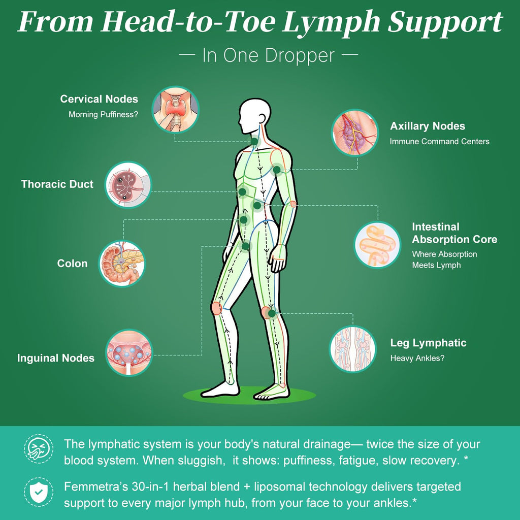 Liposomal Lymphatic Drainage Supplements with 30-in-1 Herbal Blend - Echinacea | Oregano | Milk Thistle - Sugar Free Lymph System Drops - Immune Support, Cleanse & Detox, Raspberry Flavor, 2 fl oz - Maple Wellness Supplements