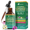 Liposomal Lymphatic Drainage Supplements with 30-in-1 Herbal Blend - Echinacea | Oregano | Milk Thistle - Sugar Free Lymph System Drops - Immune Support, Cleanse & Detox, Raspberry Flavor, 2 fl oz - Maple Wellness Supplements