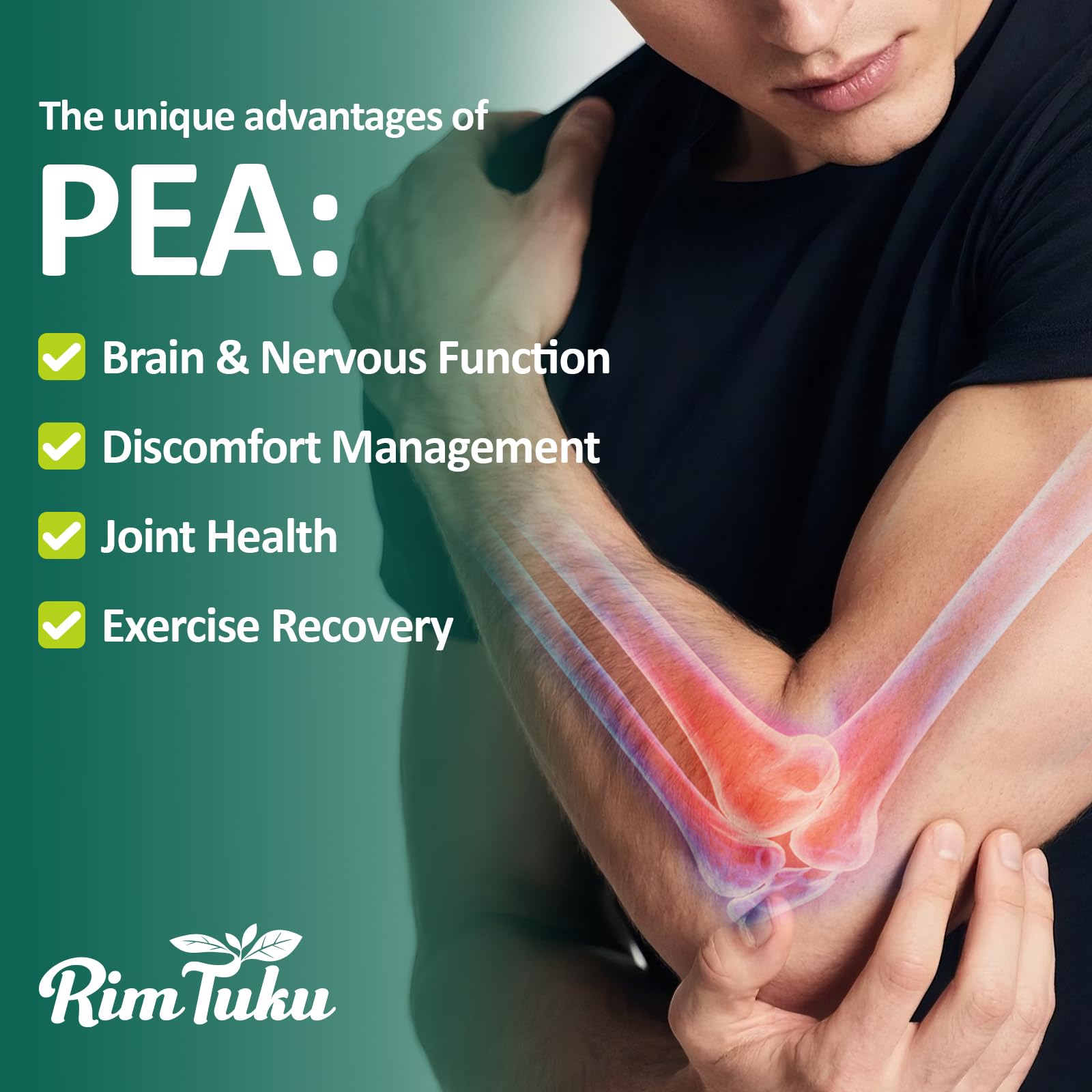 Liposomal Palmitoylethanolamide 2000MG + Luteolin 200MG + Turmeric 200MG & Fisetin 100MG, Micronized Pea 99% Highly Purified Enhanced Absorption Pea Supplement, 120 Capsules - TrustMedUSA