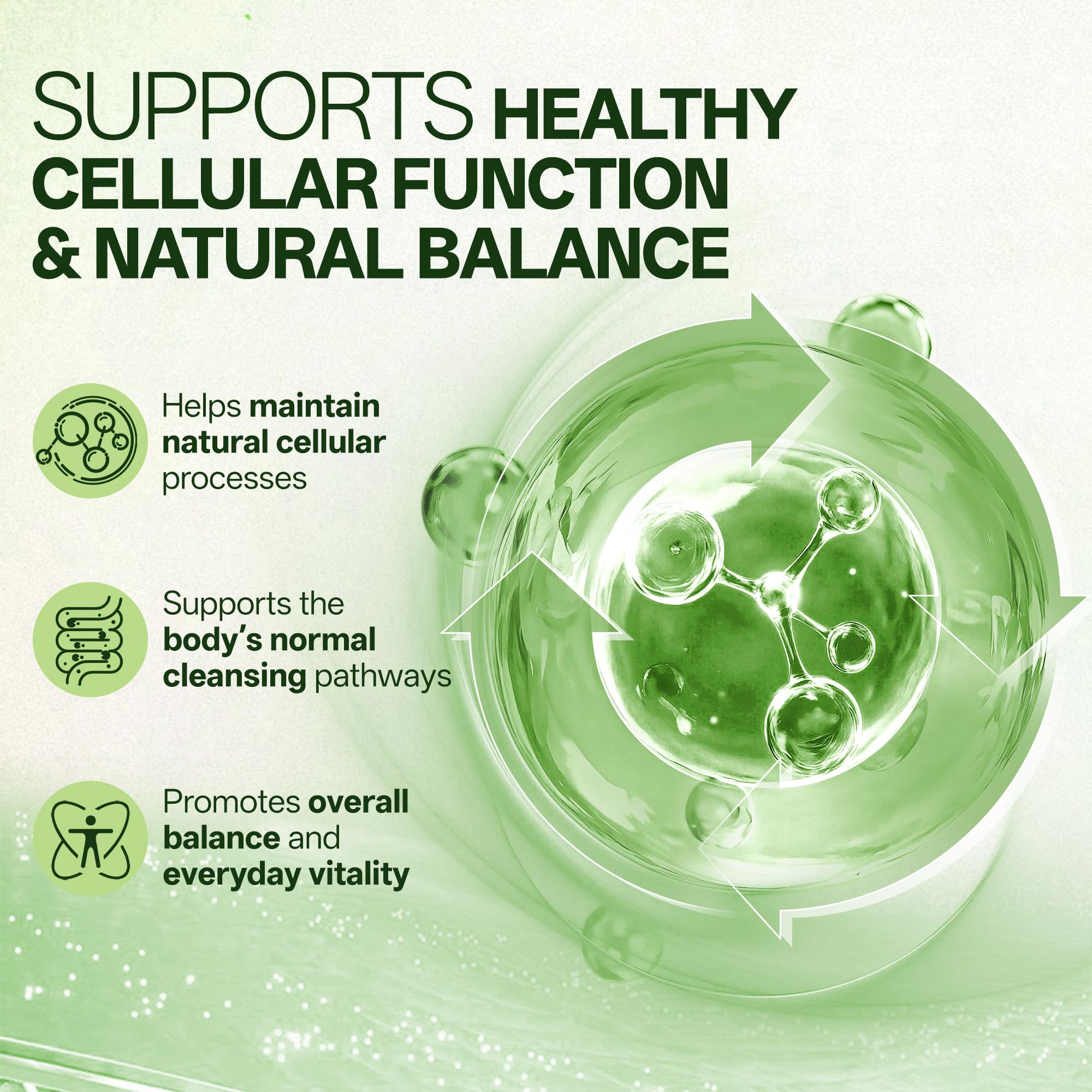Liposomal Sulforaphane 500mg Supplement from Broccoli Extract with Quercetin, Black Pepper & Vitamin C – Antioxidant, Detox & Cellular Support, Cellular Health Formula for Men & Women, 60 Capsules - TrustMedUSA