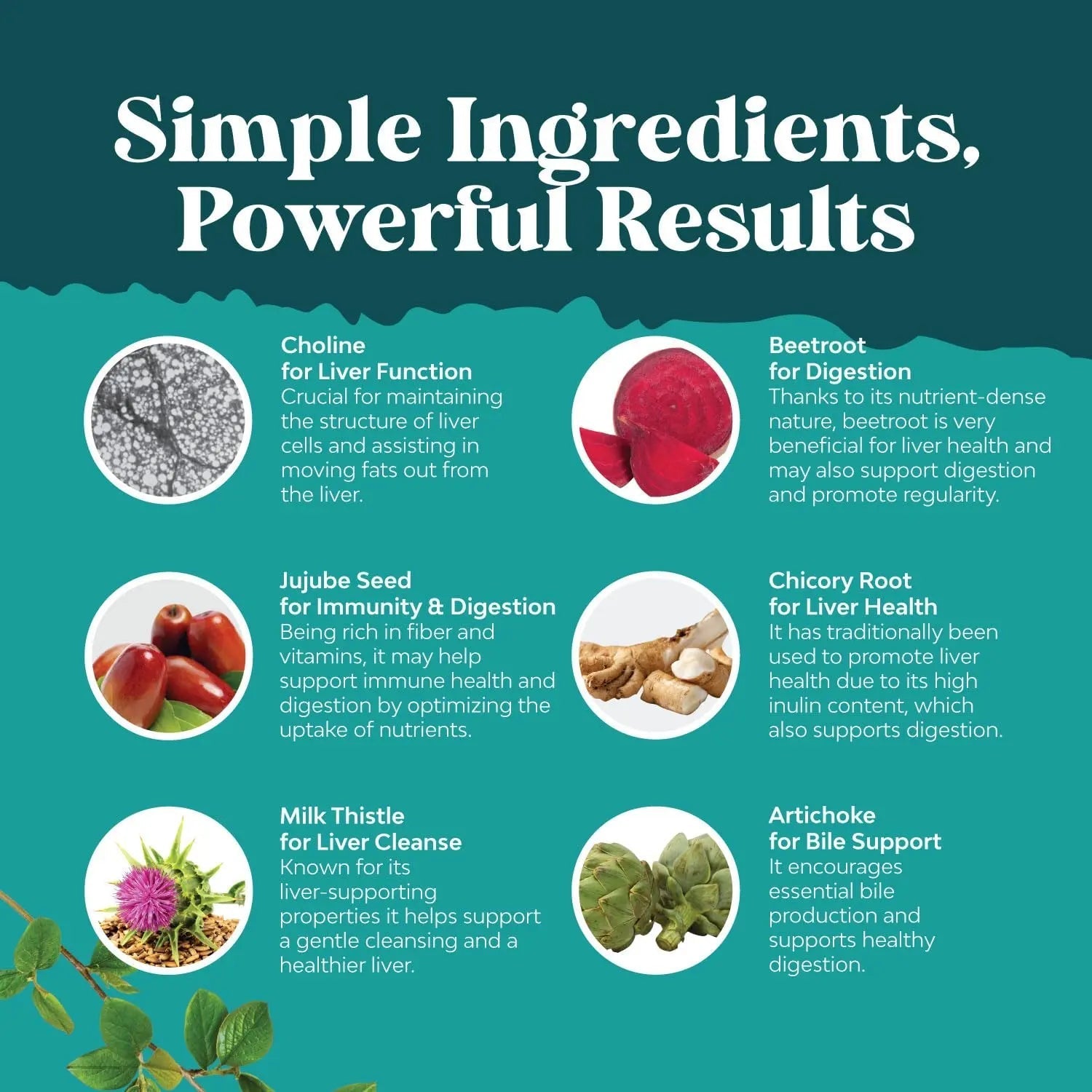 Liver Cleanse Detox & Repair Formula - Herbal Liver Support Supplement - TrustMedUSA