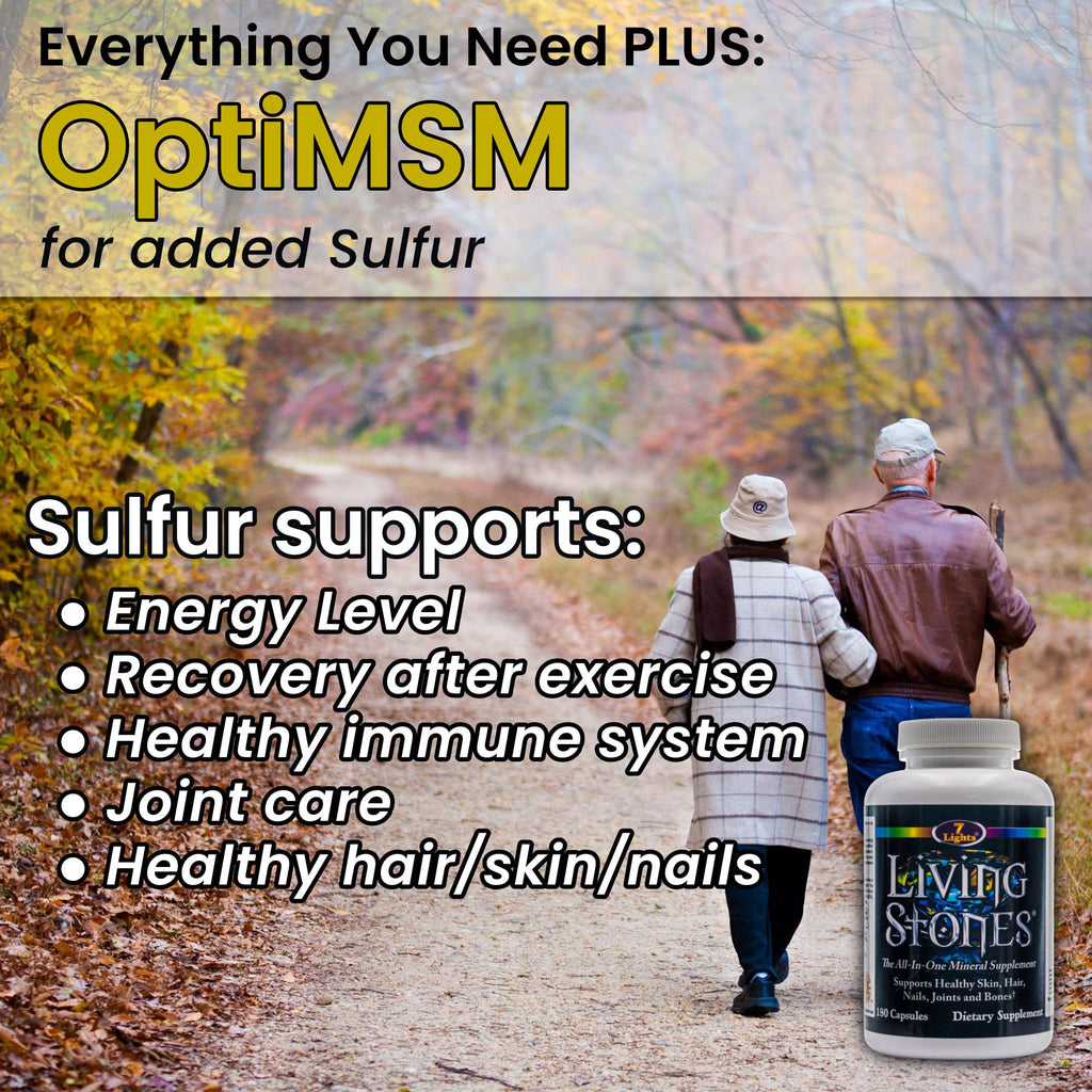Living Stones, Complete Mineral Supplement with Zinc, Calcium, Magnesium, Selenium, Trace Minerals, No Added Iron, with MSM (Organic Sulfur) and Shilajit, Premium Absorption (30-Day Supply - 180 Caps) - TrustMedUSA
