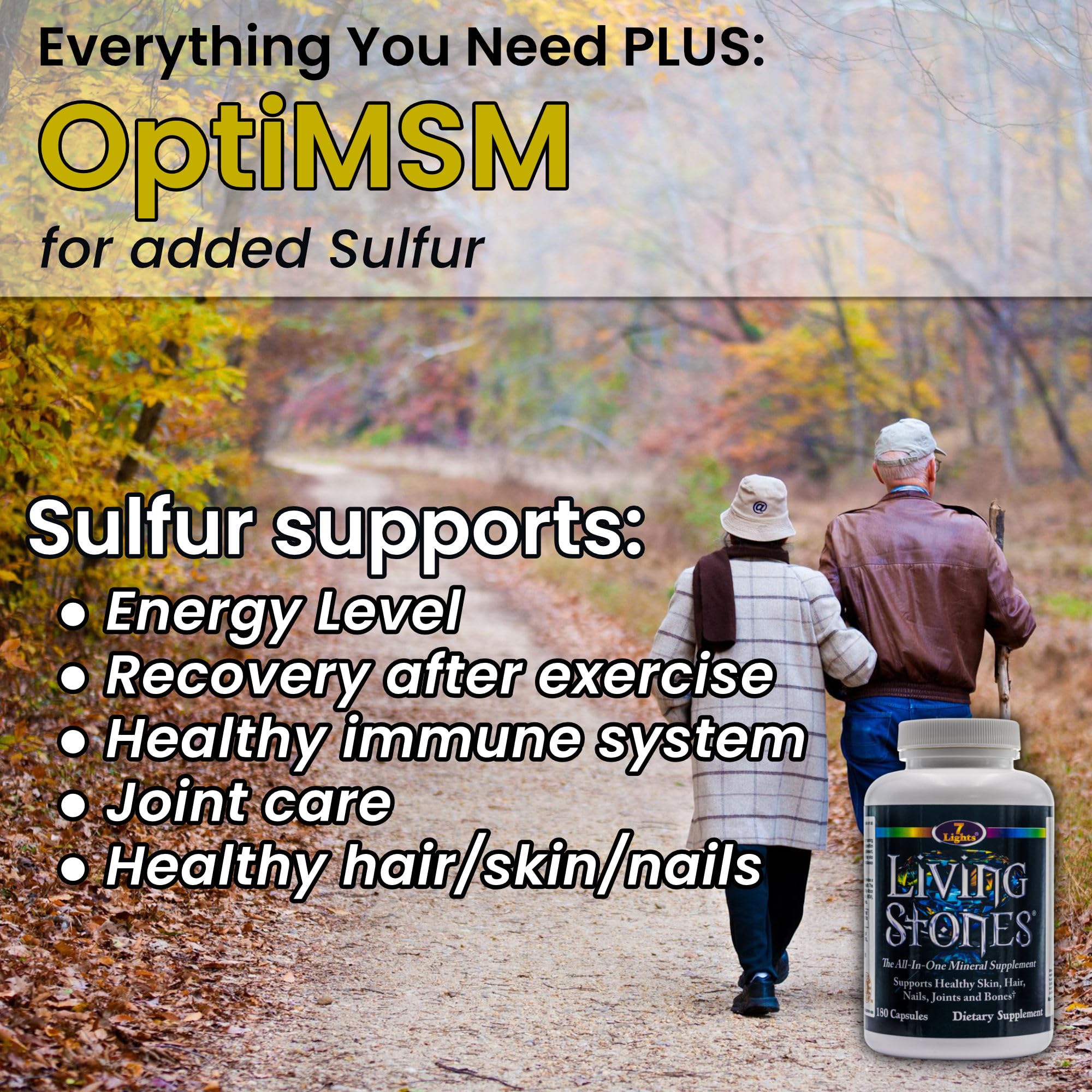 Living Stones, Complete Mineral Supplement with Zinc, Calcium, Magnesium, Selenium, Trace Minerals, No Added Iron, with MSM (Organic Sulfur) and Shilajit, Premium Absorption (30-Day Supply - 180 Caps) - TrustMedUSA