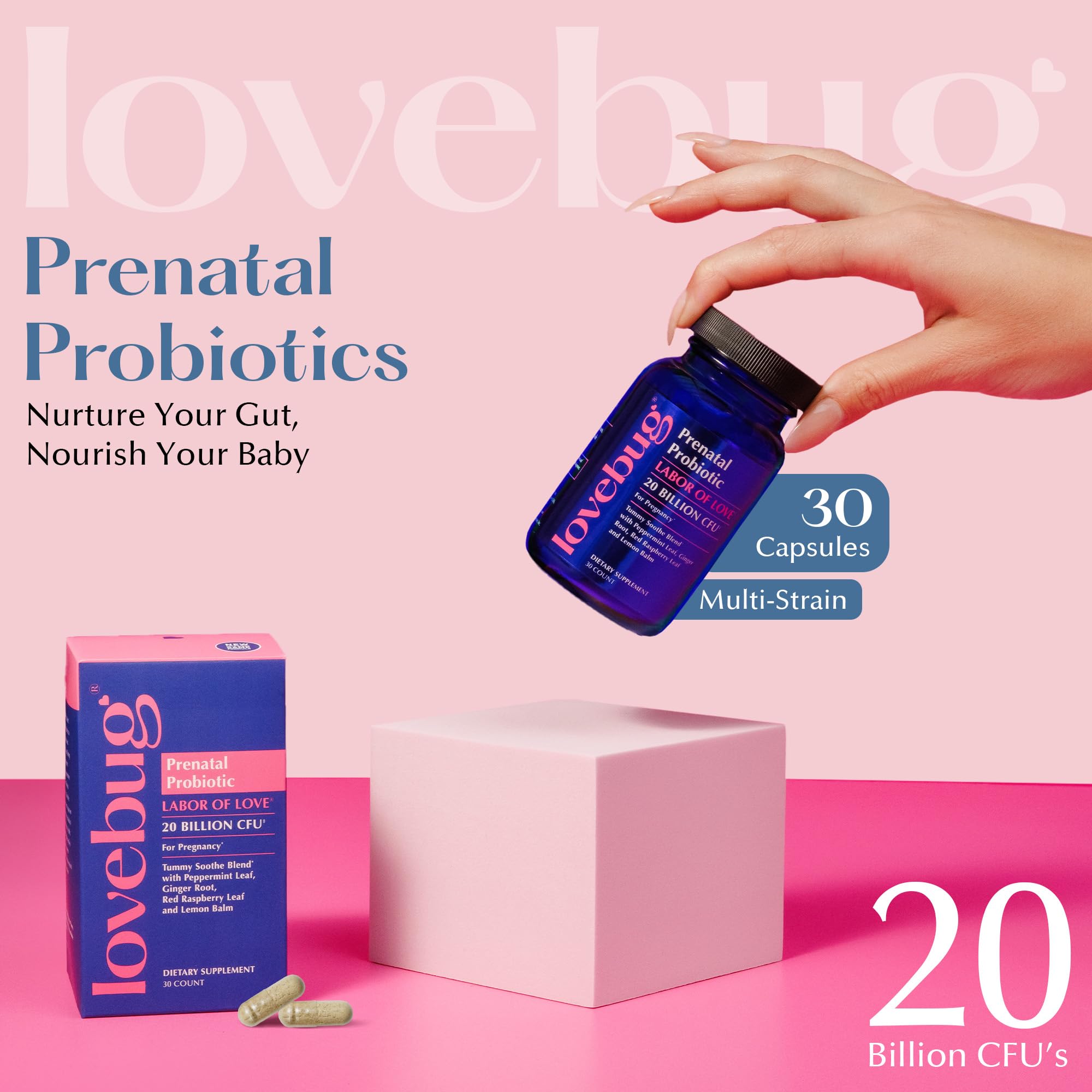 LOVEBUG Prenatal Probiotic | Helps with Morning Sickness, Nausea, Heartburn & Digestion | Helps Baby Microbiome | Multi Strain 20 Billion CFU | 30 Capsules - Maple Wellness Supplements