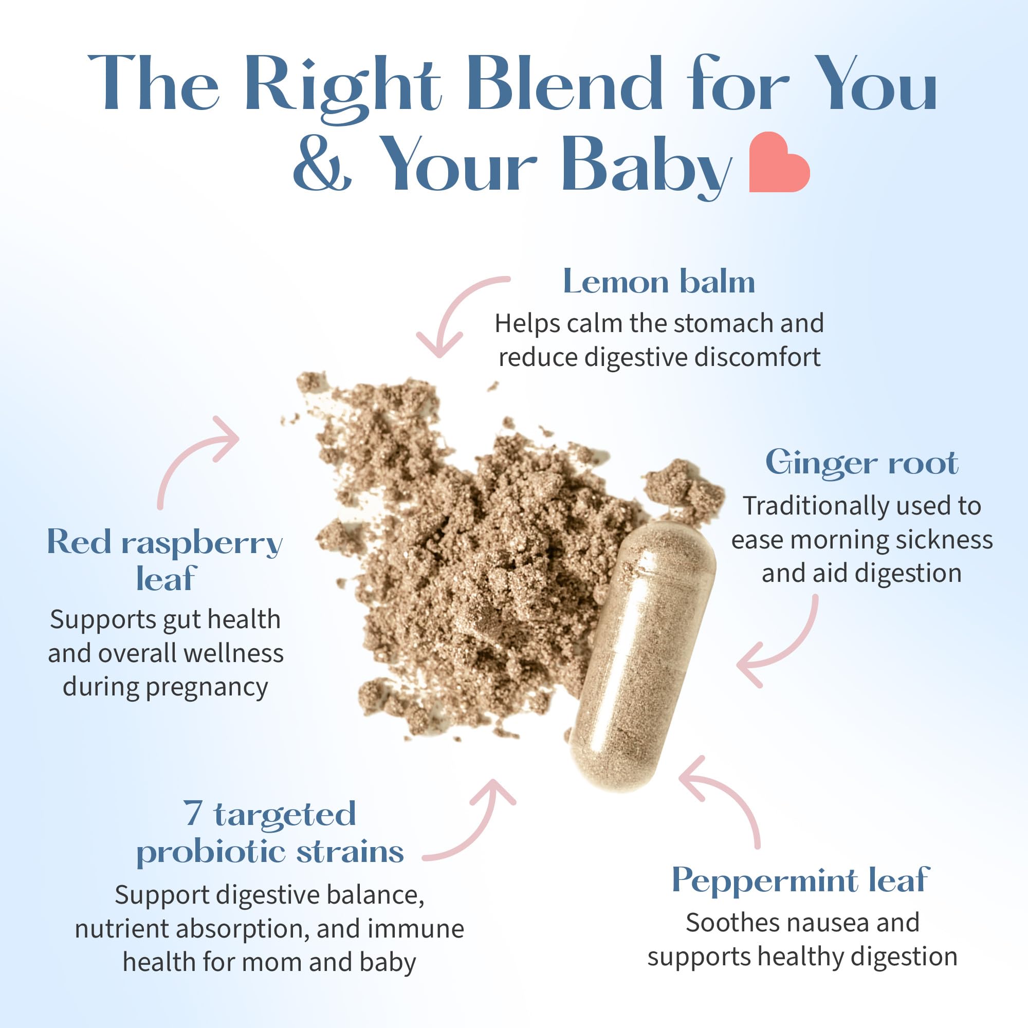 LOVEBUG Prenatal Probiotic | Helps with Morning Sickness, Nausea, Heartburn & Digestion | Helps Baby Microbiome | Multi Strain 20 Billion CFU | 30 Capsules - Maple Wellness Supplements