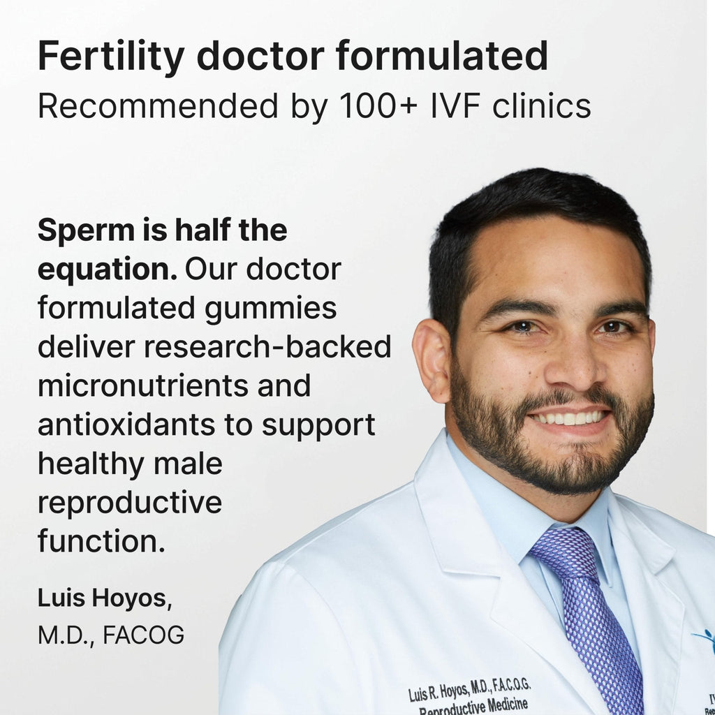 Luminary Vitamins Create for Men | IVF-Doctor Formulated Male Fertility Gummies | 300 mg CoQ10, 900 mg L-Carnitine, 10 mg Lycopene | Supports Sperm Health | Vegan & No Added Sugar (28 Day Supply) - Maple Wellness Supplements