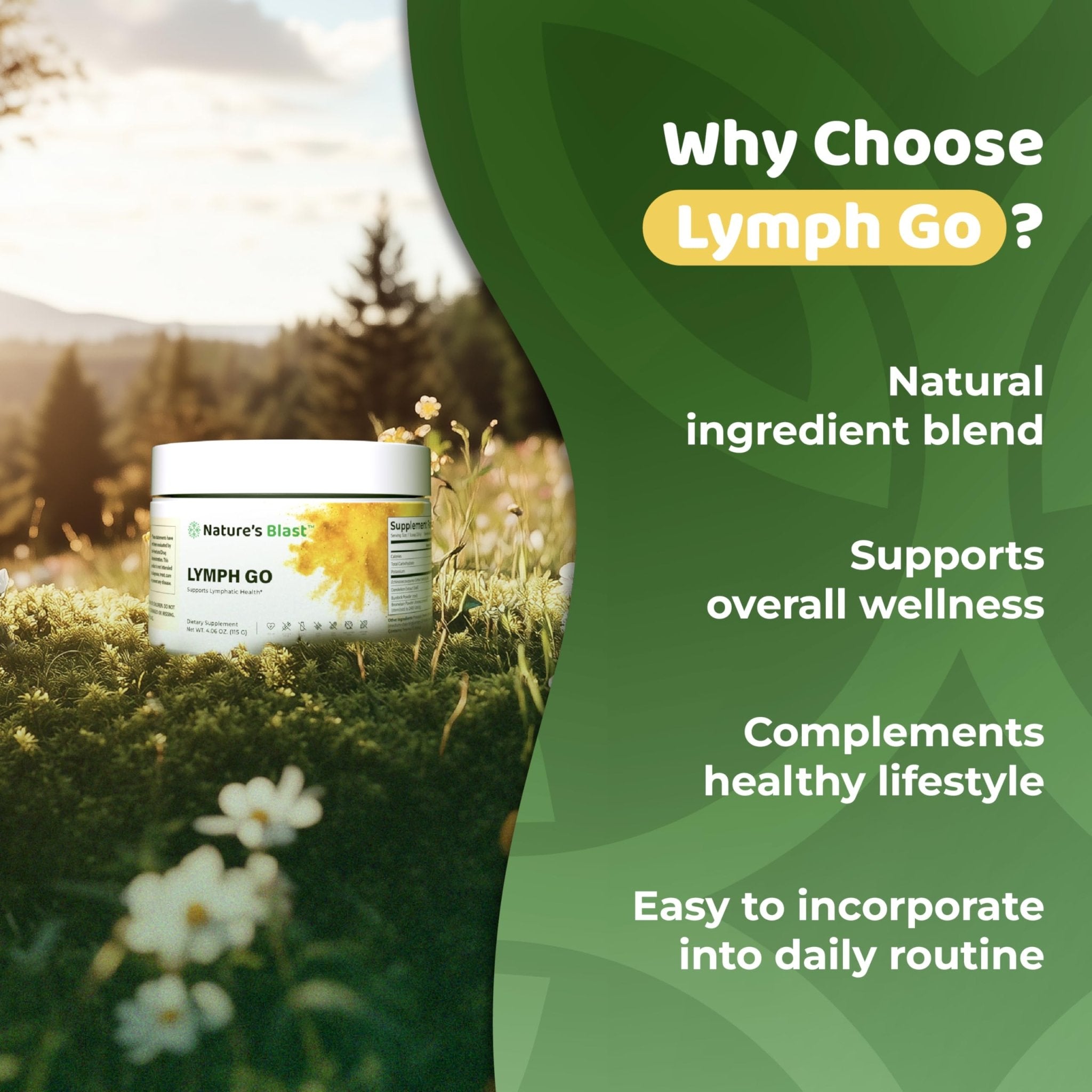 Lymph Go - Lymphatic Drainage Supplement for Women & Men - Lymph System Support - with with Bromelain, Echinacea, Burdock Root, Dandelion, Rutin, Kelp & More - 4.06 Oz - 30 Servings - Tropical Flavor - Maple Wellness Supplements